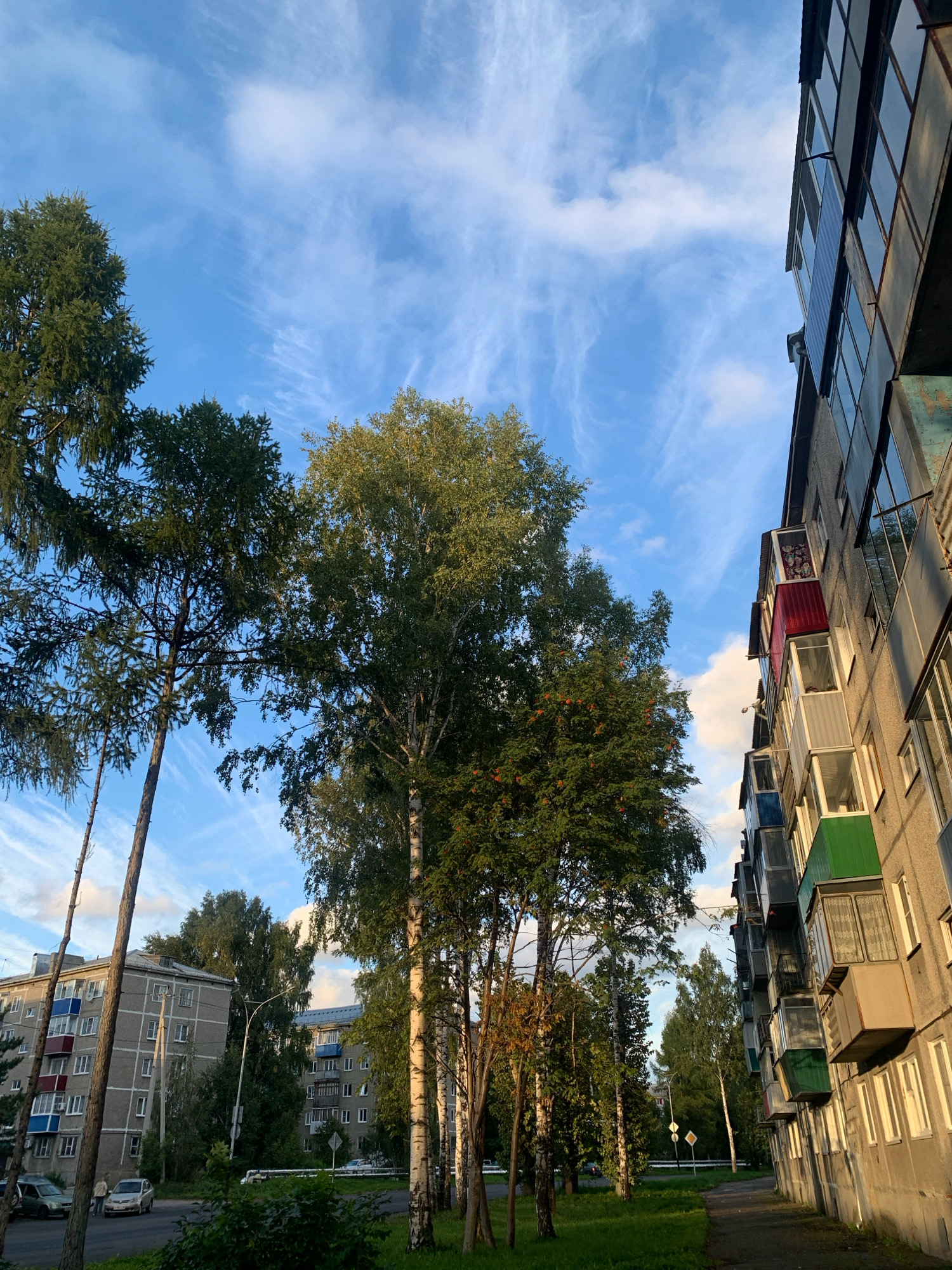 The image depicts an outdoor scene in Prokopyevsk, Russia. In the foreground, a paved walkway runs along the side of a multi-story apartment building. The building, constructed of concrete, features numerous balconies, some of which are enclosed and painted in various colors including red, green, and grey. Adjacent to the walkway is a grassy area with trees, including birch trees with distinctive white bark and tall coniferous trees.
Beyond the trees, there are several residential buildings visible, characteristic of Soviet-era architecture. These buildings are also multi-story and grey, with numerous windows. Cars are parked on the street in front of the buildings. The sky above is blue with wispy white clouds. The lighting suggests it is either morning or late afternoon, with the sun casting shadows. There are no people or discernible actions taking place in the image. The overall impression is a typical urban residential area.