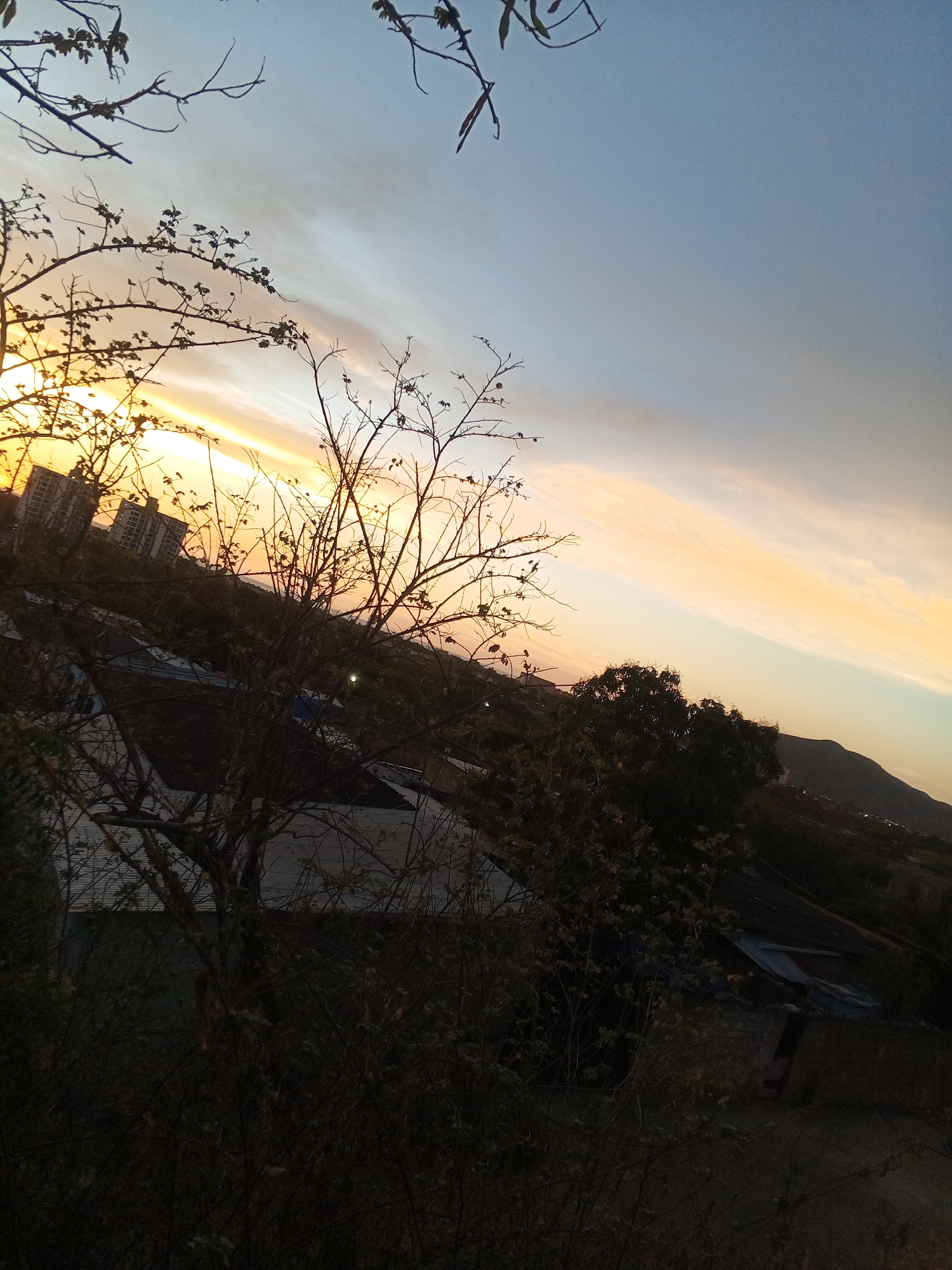 The image depicts a sunset in a location appearing to be Juan Griego, Venezuela. The sky transitions from blue to orange and yellow near the horizon, with wispy clouds streaking across the sky. Silhouetted trees and branches frame the view. A building is visible on the left. Below, there are rooftops and foliage. A mountain is faintly visible in the distance. The foreground is dark, filled with trees and undergrowth.
