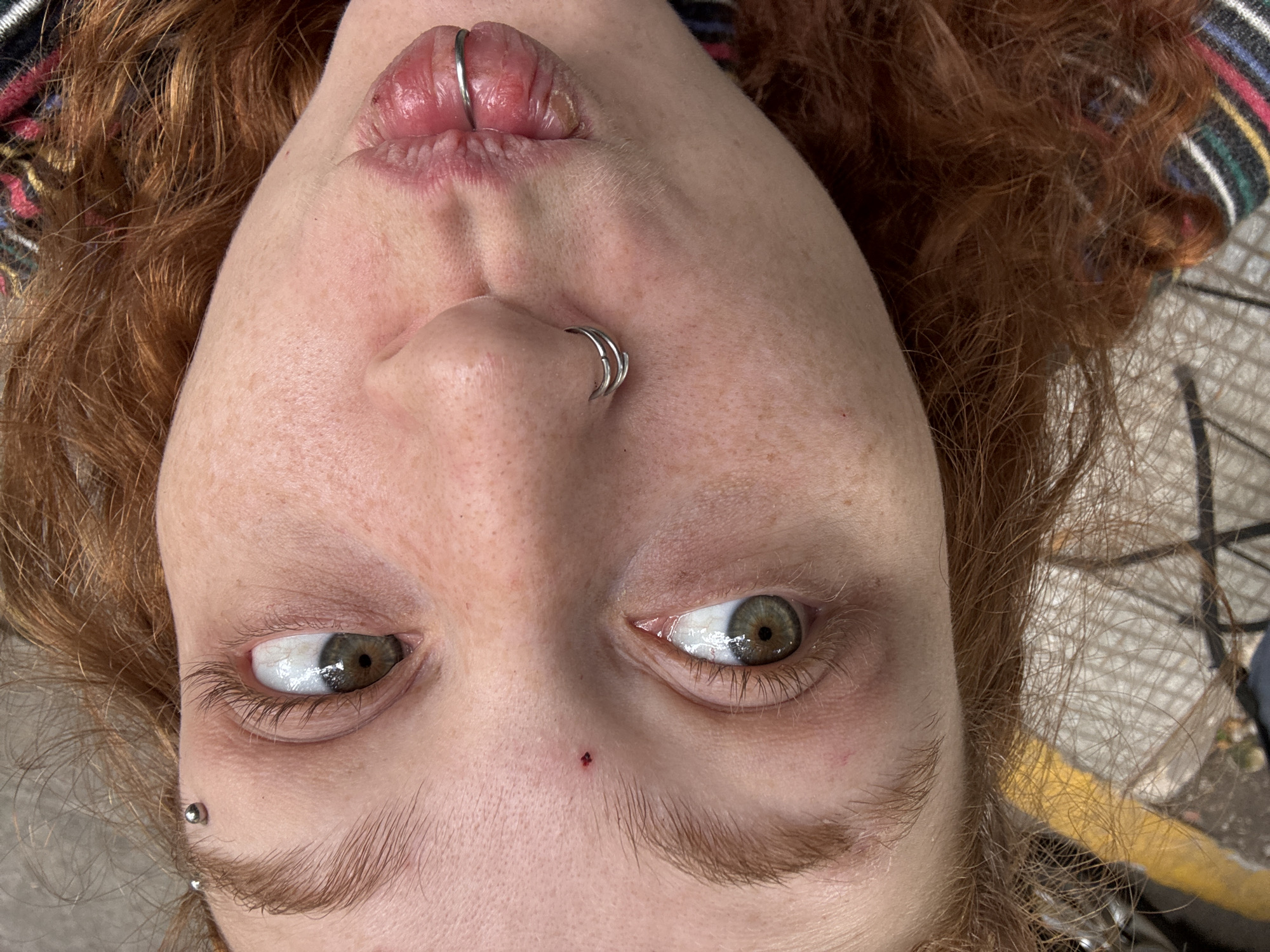 A close-up, inverted portrait features a person with fair skin, freckles, and striking red hair. The individual has green or hazel eyes that are rolled upwards and to the side, looking towards the top of the frame. Multiple facial piercings are visible: a double ring in the septum, a single ring in the philtrum (upper lip), and a small, silver stud below the outer corner of the left eye. A small reddish mark or blemish is present on the bridge of the nose.
The person's lips are slightly parted, revealing some texture. On the left side of the frame, part of a striped garment, possibly a sweater or scarf with red, blue, yellow, and black stripes, is visible nestled in the red hair. The background is softly blurred but suggests an outdoor, urban setting, with hints of a grid-like pattern on the ground and a distinct yellow line, possibly a curb or street marking. The lighting is bright and even, indicating it is daytime. No text is visible in the image. The unique perspective creates an unusual and engaging composition, captured in Buenos Aires, Argentina.