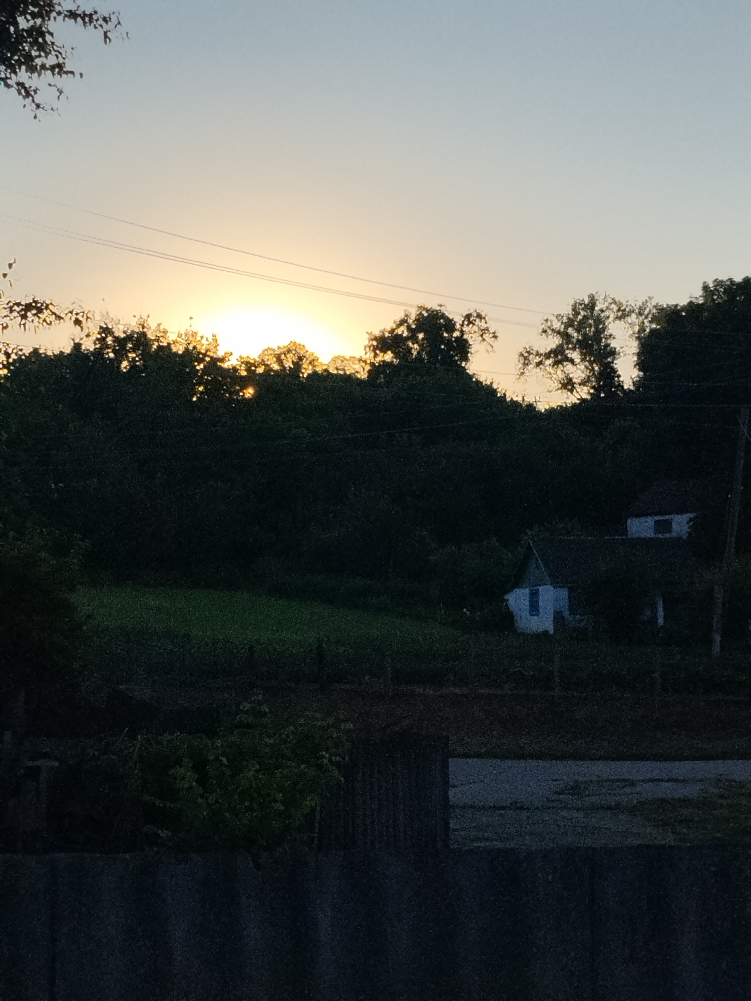 The image depicts a rural landscape at sunset in Ustyvytsia, Ukraine. The sky is a gradient of pale blue and yellow, with the sun peeking through a dense line of trees in the mid-ground. A few power lines are visible crossing the sky. Below the treeline, two small, white houses with dark roofs are nestled amongst the foliage. The foreground shows a dark, textured surface, possibly a fence or a wall, with a patch of green grass and some foliage visible behind it. The overall impression is one of a tranquil evening in a village setting.