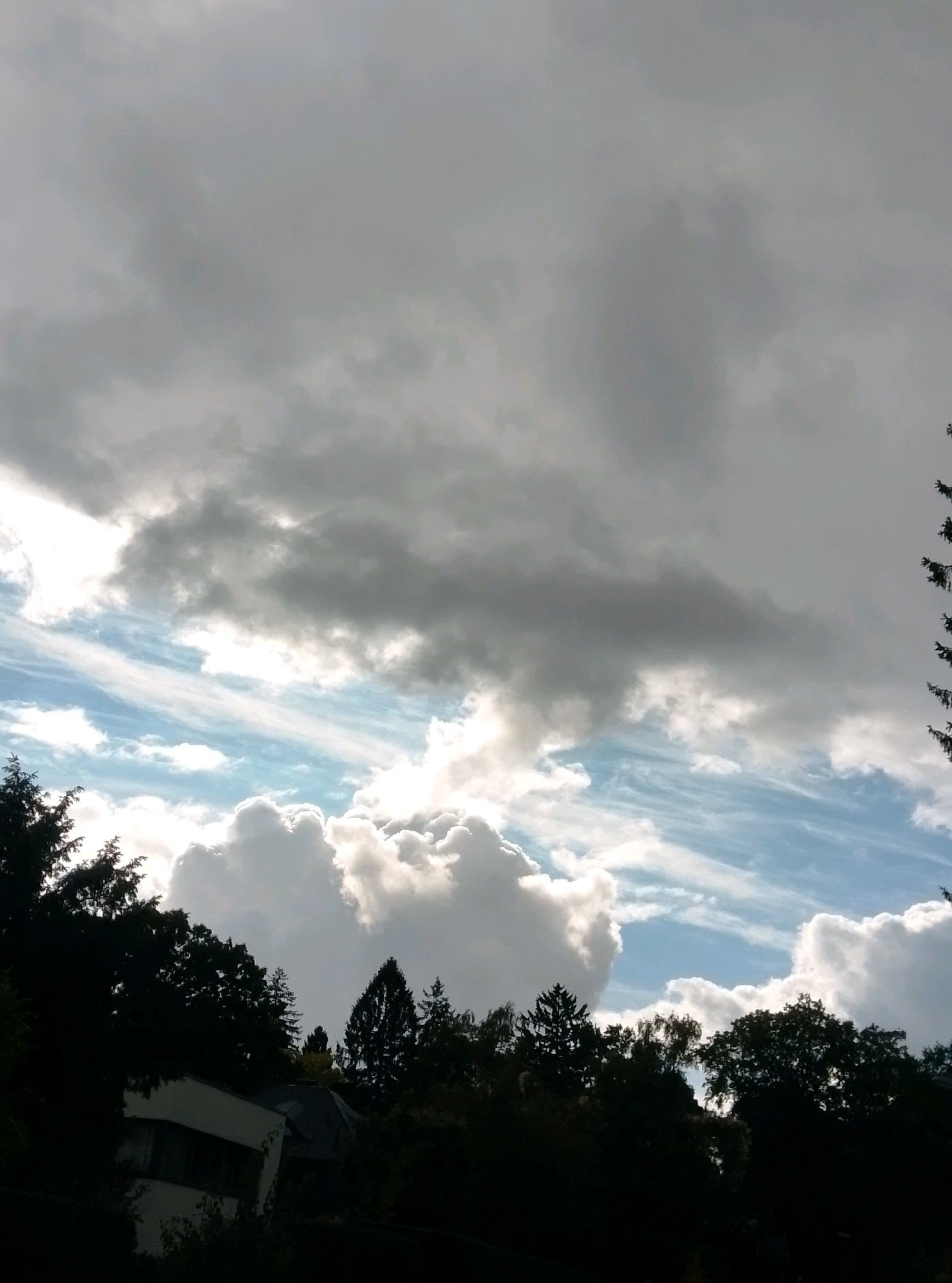 A medium shot captures a view of the sky above a silhouetted treeline and a building. The sky is dominated by dramatic clouds, with bright white, fluffy cumulus clouds in the lower half, contrasting with darker, gray, and wispy clouds in the upper half. Streaks of blue sky are visible between the clouds, and sunlight breaks through in places, creating highlights. The treeline, composed of various types of trees, is dark and obscures the ground. A portion of a white building with dark-framed windows is visible on the left, peeking through the trees. The scene appears to be an outdoor shot, possibly taken from a slightly elevated position, looking upwards. The overall impression is of a dynamic sky, possibly before or after a rain shower.