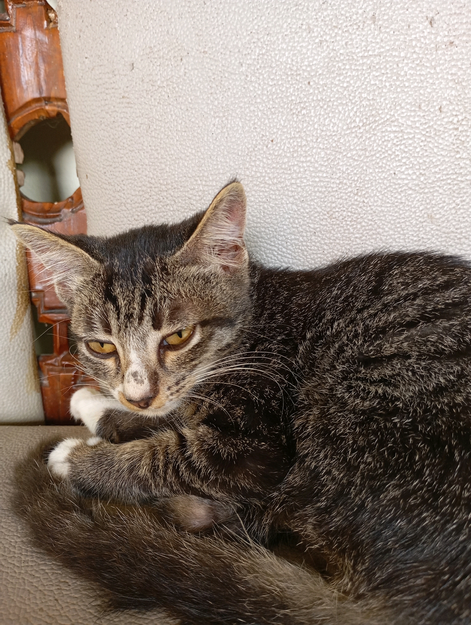 A tabby cat with dark and light brown stripes is resting on a beige textured surface. The cat has yellow eyes and white paws. To the left of the cat, a portion of a carved wooden decorative object is visible. The background is a plain beige textured surface. The scene appears to be indoors, possibly in a residential setting in Balikpapan, Indonesia.