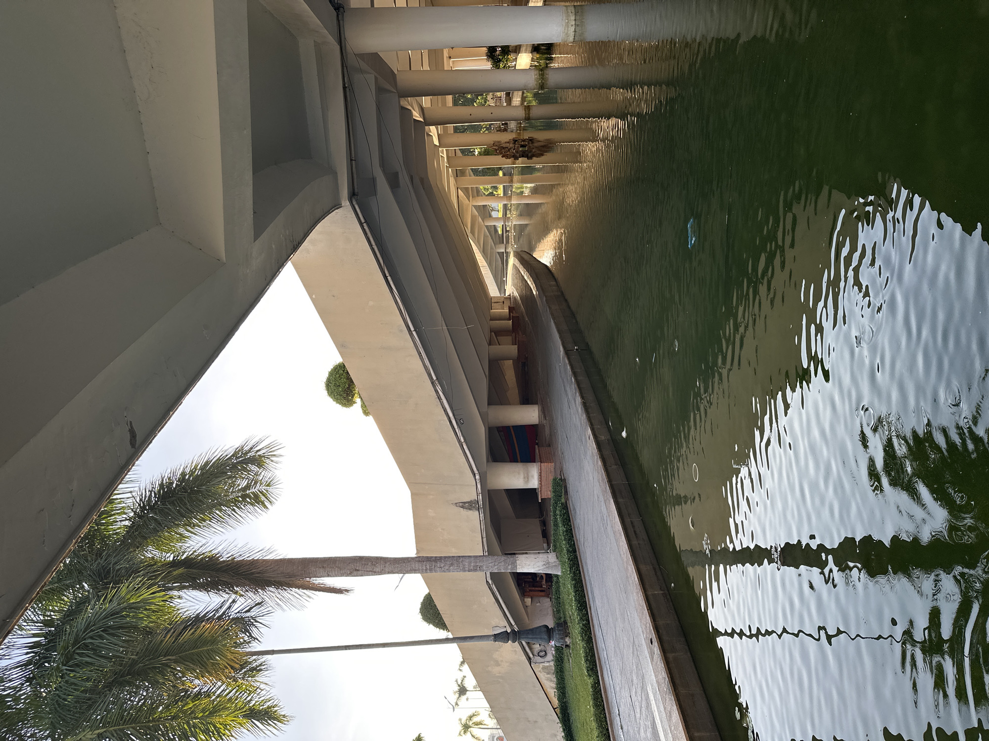 The image depicts a view under a large, elevated concrete structure, likely a pedestrian walkway or part of a building complex, near a body of water. The structure is supported by numerous cylindrical columns and features a long, sloping ramp-like walkway. Palm trees are visible on the left side of the frame, with their fronds extending towards the sky. The water in the foreground is a dark green color and shows ripples and reflections of the surrounding architecture and foliage. Some litter is visible floating on the surface of the water. The lighting suggests it is daytime, possibly late afternoon or early morning, with sunlight casting shadows and highlighting the textures of the concrete and water. This scene is located at the Dragon Bridge in Đà Nẵng, Vietnam.