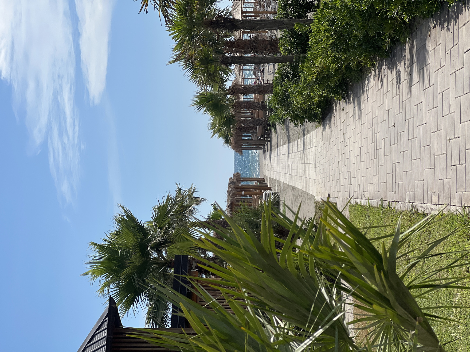 This image depicts a sunny day at a resort or beachside location in Donji Štoj - Shtoji i Poshtëm, Montenegro. The scene is dominated by lush green palm trees and other vegetation, framing a paved walkway. The walkway, made of light-colored rectangular bricks laid in a repeating pattern, leads towards the sea. Beyond the walkway and vegetation, glimpses of the ocean and a beach with lounge chairs and umbrellas can be seen. The sky is a clear, bright blue with a few wispy white clouds. The overall atmosphere is tranquil and inviting, suggesting a pleasant vacation or leisure setting. The lighting indicates it is daytime, likely late morning or early afternoon, given the strong sunlight and clear skies. The presence of palm trees and the proximity to the sea strongly suggest a tropical or Mediterranean coastal environment. No visible text is present in the image.