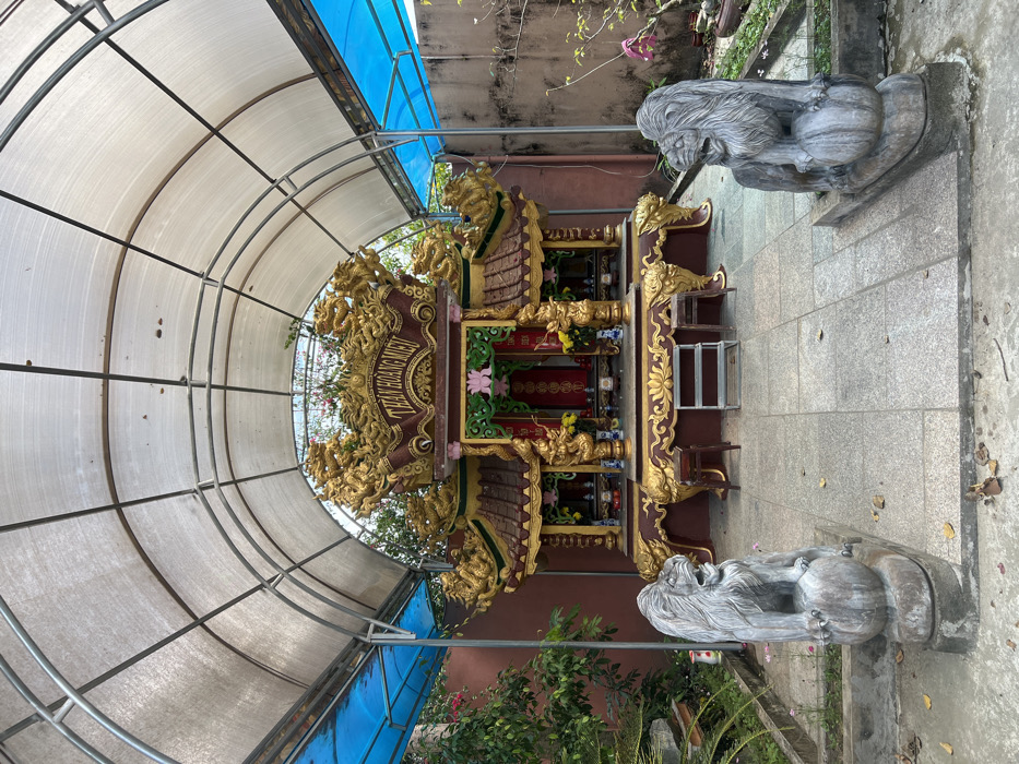 This image captures an outdoor ceremonial shrine, identified by the inscription "THẦN HOÀNG MIẾU," located in the city of Đăk Mar, Vietnam. The central feature is an elaborate, multi-tiered structure, predominantly colored dark red-brown and gold. Its roof is adorned with numerous golden dragon figures and intricate patterns. The central opening displays a red interior, likely an altar, containing various small vases, offerings, and yellow flowers, with a pink lotus motif situated above. A red banner or cloth hangs within the central section. In front of the shrine are two dark brown wooden stools, one lighter wooden stool, and a small silver-colored metal step stool.
The entire setup is covered by a high, arched canopy consisting of a metal framework supporting translucent white corrugated panels, with additional blue corrugated panels extending along the lower sides.
Two weathered gray stone lion statues are positioned symmetrically in the foreground, facing the shrine. Each lion is seated with its front paws resting on a spherical object, featuring an open mouth and detailed mane, and stands on a rectangular stone base.
The ground surface consists of light gray rectangular tiles, upon which a few dry leaves are scattered. The immediate surroundings include green foliage with some pink flowers on the left side, and a more sparse collection of plants on the right. A dark red-brown wall is visible behind the left foliage, while a lighter brown wall forms the background on the right side. No individuals are present in the scene.