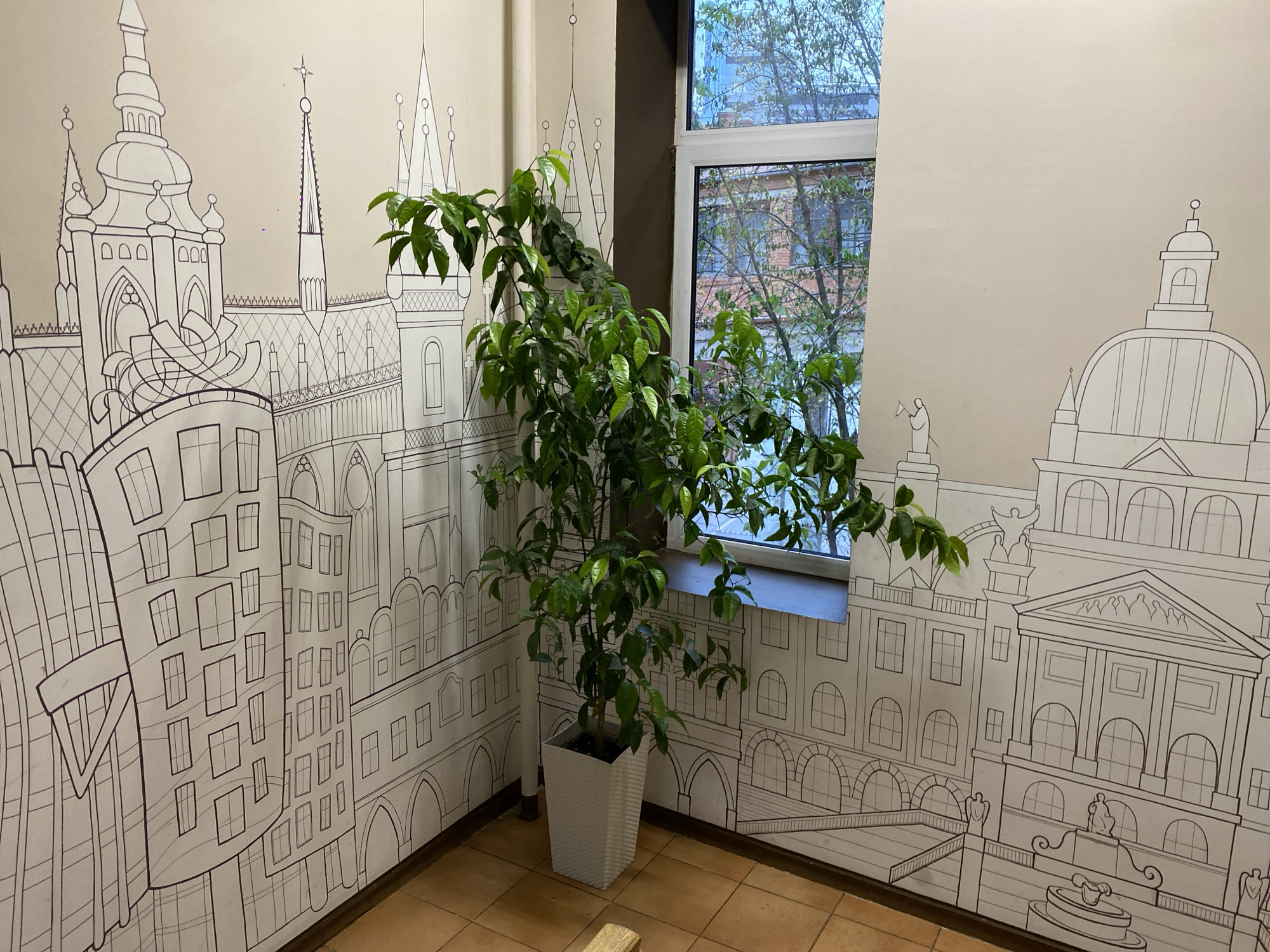An indoor corner room is depicted, featuring a detailed line-art mural of a cityscape on its light beige walls. The mural, drawn in black outline, illustrates various historical buildings with intricate architectural elements such as spires, domes, arched windows, columns, and statues. On the left wall, tall buildings with multiple spires and rounded facades are visible. The right wall showcases a grander structure with a prominent dome, and further right, a building with a classical triangular pediment and statues along its roofline, possibly fronting a public square with a fountain.
A large, leafy green plant in a white, textured rectangular planter occupies the corner, partially obscuring the mural and a window. Through the white-framed window, an outdoor scene is visible, featuring trees with green foliage, indicating daytime during a warmer season like spring or summer. Beyond the trees, the exterior of a building with red brick or stone walls and numerous windows can be discerned. The floor is tiled with light brown square tiles. No people are present, and no specific activity is taking place in this static scene, which is situated in Moscow, Russia.