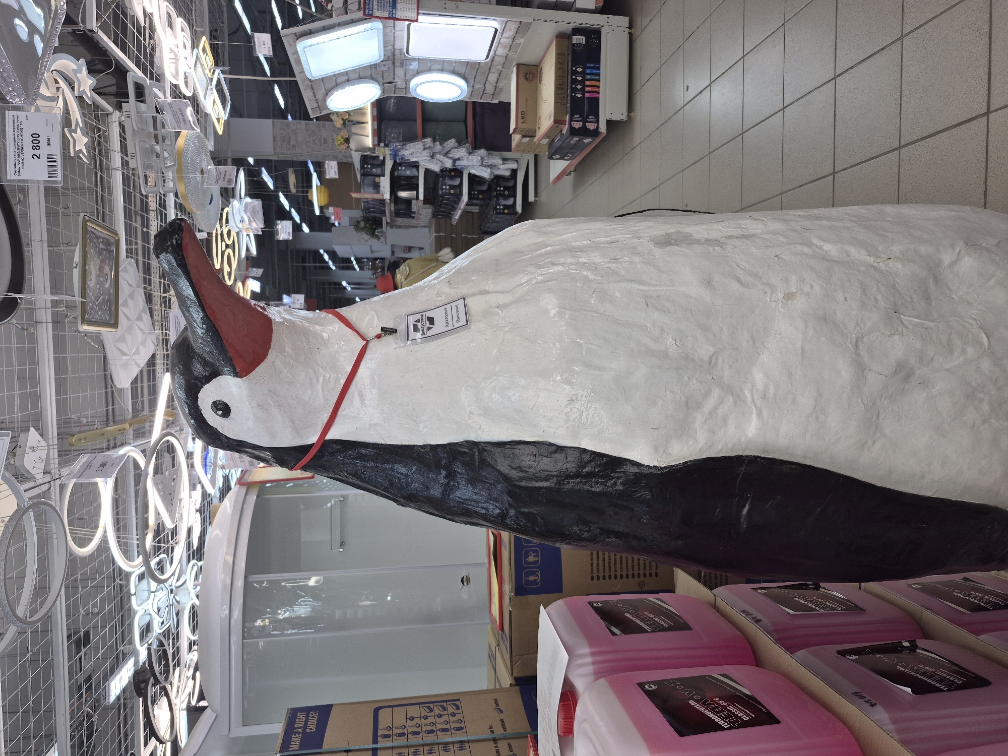 Here's a forensic description of the image:
**Location:** The image appears to be taken inside a large retail store, potentially a hardware or home improvement store in Tobolsk, Russia (based on the Cyrillic text on the products).
**Subjects:** The primary subject is a large, painted penguin figure, seemingly made from paper mache or a similar material.
**Objects:**
* **Penguin Figure:** White and black coloration with a red beak. A red strap is visible around its neck, possibly attaching a tag.
* **Lighting:** Various lighting fixtures are displayed on the shelves in the background, including LED strip lights, ceiling lights, and pendant lights.
* **Products:** Boxes of liquid products are stacked near the penguin. The labels feature Cyrillic text indicating "Теплоноситель Classic -65°C," which translates to "Heat Transfer Fluid Classic -65°C."
* **Shelving:** The products and lights are displayed on metal shelving units.
* **Price Tag:** A price tag is visible with the price "2 800" and the Cyrillic word "новый" meaning "new," possibly attached to one of the lighting fixtures.
* **Signage:** A cardboard sign with the phrase "MAKE A RIGHT CHOICE!" and a graphic of people is visible.
**Actions:** No specific actions are occurring in the image. The scene depicts a stationary display of products and a decorative figure.
**Interactions:** There are no apparent interactions between people or between people and objects in the image.
**Environment:**
* The environment is brightly lit with fluorescent lighting.
* The floor is tiled.
* The overall impression is that of a well-organized retail space.