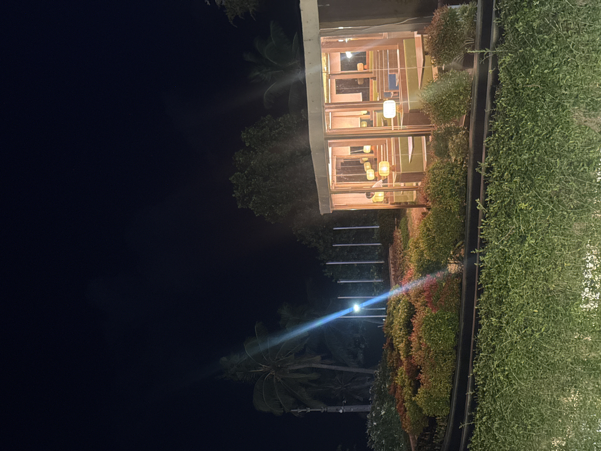 This image depicts a nighttime scene in Kuta, Indonesia, featuring a modern, multi-level structure with extensive glass windows. The interior of the structure is illuminated with warm, ambient lighting, highlighting various light fixtures and decorative elements within. Several potted plants or small trees are visible outside the structure, arranged in a way that suggests a landscaped outdoor space.
To the right of the structure, a dense vertical garden of lush green foliage covers a large area, creating a striking contrast with the building's architectural lines. The garden appears healthy and well-maintained. A dark, vertical element, possibly a frame or planter box, separates the building from the vertical garden.
The background on the left is dominated by the dark night sky, with a large palm tree visible in the mid-ground, its fronds silhouetted against the darkness. A bright, diagonal beam of light, possibly from a streetlamp or spotlight, cuts across the scene from the lower left towards the upper right, creating lens flare and illuminating a portion of the palm tree and the sky. The overall atmosphere is one of a tranquil, possibly commercial or residential, setting at night. The image is oriented vertically.