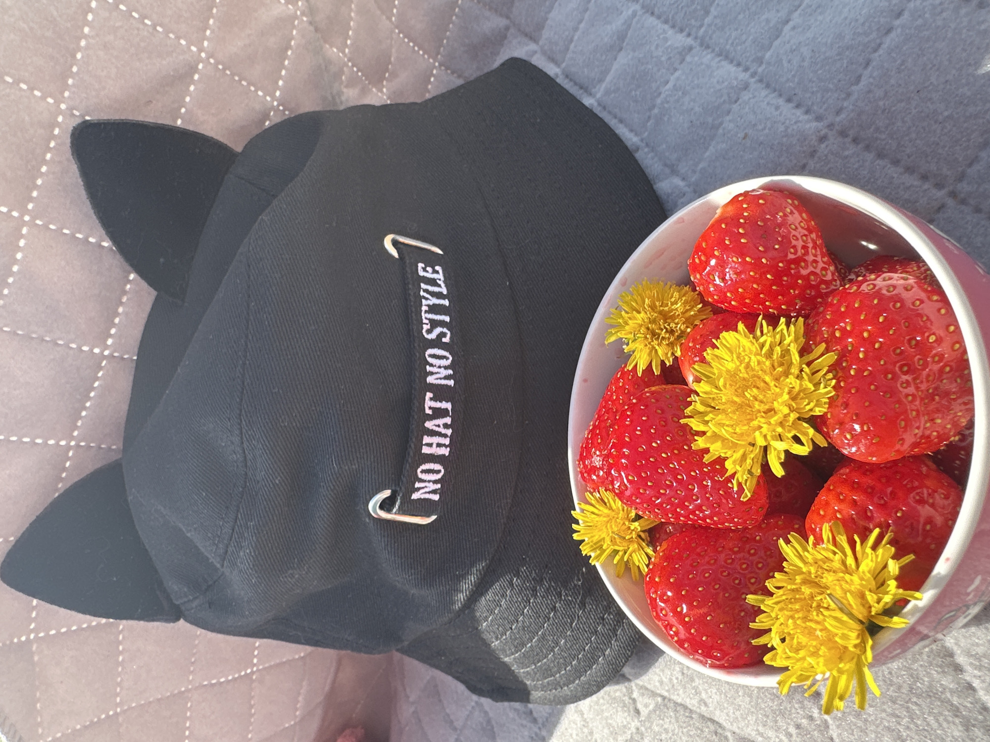 On a quilted brown and gray surface, a black cap with cat ears and the phrase "NO HAT NO STYLE" rests next to a bowl of strawberries and dandelions. The scene is lit by natural sunlight. No information suggests the location is Chaikovsky, Russia.