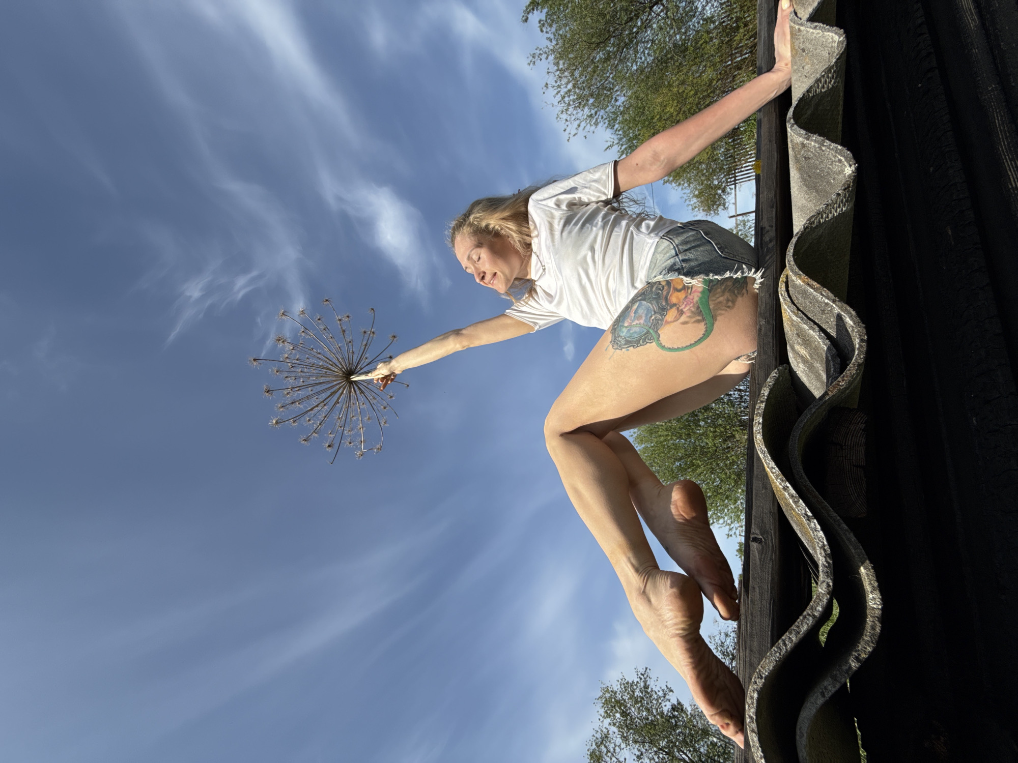 A low-angle medium shot depicts a woman poised at the edge of a structure, likely a roof, against a backdrop of a blue sky streaked with wispy clouds. The woman has blonde hair and is wearing a white t-shirt and denim shorts, with a visible tattoo on her upper thigh. She is barefoot and appears to be gripping the edge of the roof for support, extending her other arm outwards to hold a dried, spherical seed head of a plant. The edge of the roof is constructed from wavy grey material, adjacent to a dark, charred-looking wooden wall. Trees with green foliage are visible in the background, framing the scene. The location, Rosstani, Russia, is not readily apparent from the visual information provided.
