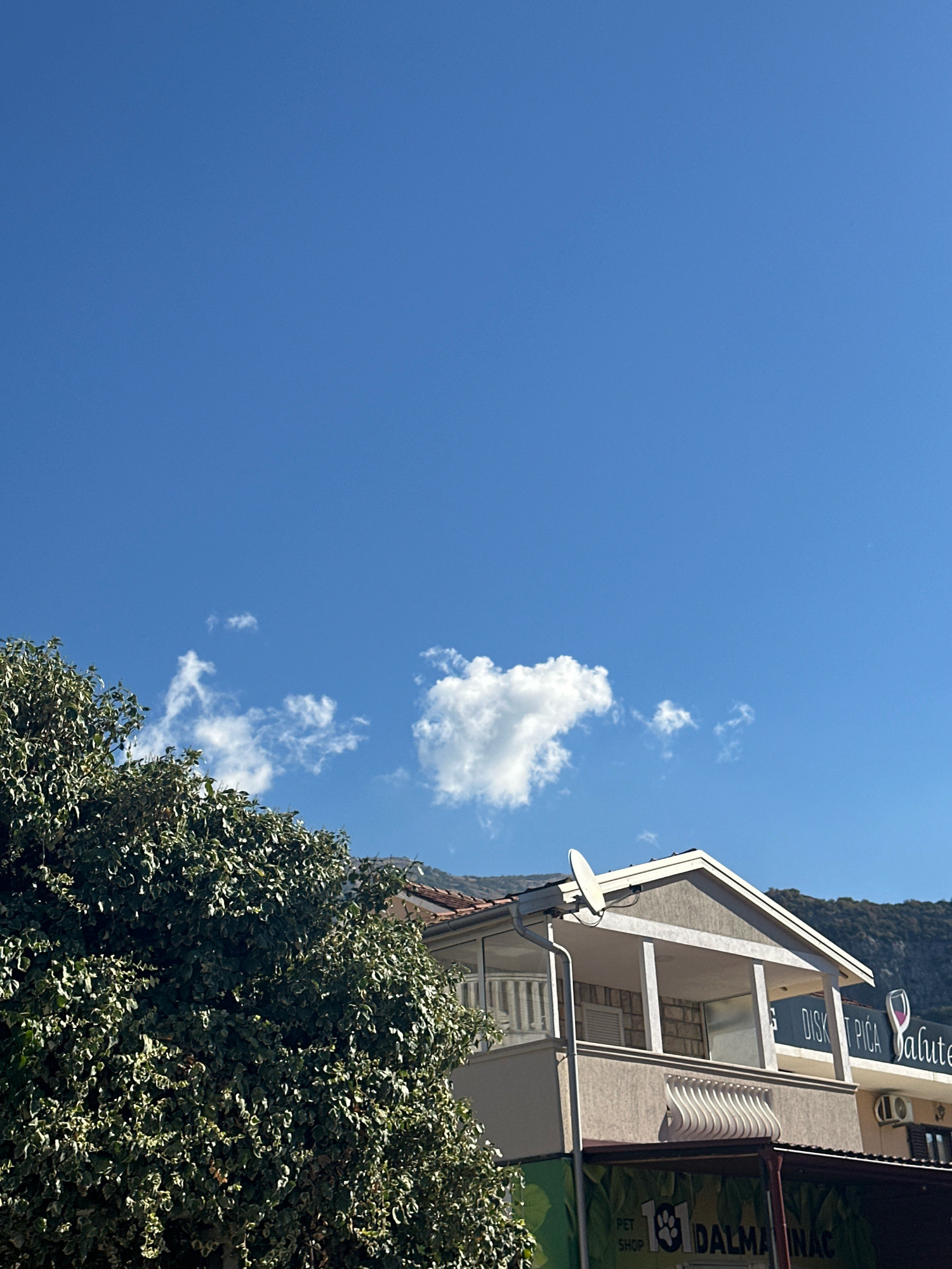 This media file depicts a clear blue sky with scattered white clouds above a building in Budva, Montenegro. A large, lush green tree with variegated leaves dominates the left side of the frame, partially obscuring a building. The building appears to be multi-story, with balconies and windows visible. A satellite dish is mounted on the roof of the upper section.
Below the balconies, signs are visible. One sign reads "DISKT PIĆA Saluté," suggesting a bar or cafe that serves drinks. Another sign, partially obscured by the tree, has text that includes "PET SHOP" and "DALMA INAC." The presence of these signs indicates commercial establishments.
The scene is set under a bright, sunny sky, suggesting it is daytime. The overall impression is one of a pleasant, possibly warm day in a town with businesses and residential buildings. The mountains in the background further establish the geographic context of Budva. There are no people or animals visible in the image.