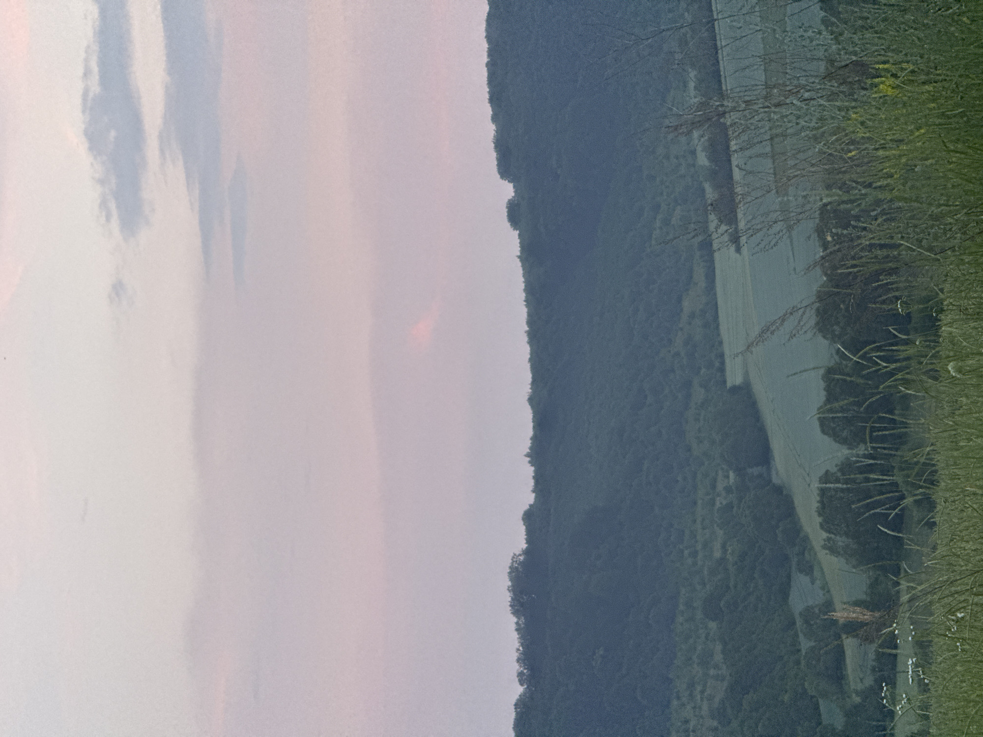 The image depicts a panoramic view of a valley at dusk. In the foreground, tall grasses and wildflowers are visible, suggesting a natural, uncultivated area. Beyond the immediate foreground, the landscape slopes down into a valley characterized by rolling hills covered in dense green foliage, indicative of a forest. A section of farmland, appearing as a lighter green expanse, is nestled within the valley. The background features a distant treeline atop a hill, with a soft, pinkish-gray sky overhead, implying the approach of twilight or dawn. The scene is peaceful and natural, with no human presence or activity immediately apparent. The location is identified as being in Pavliv, Ukraine.