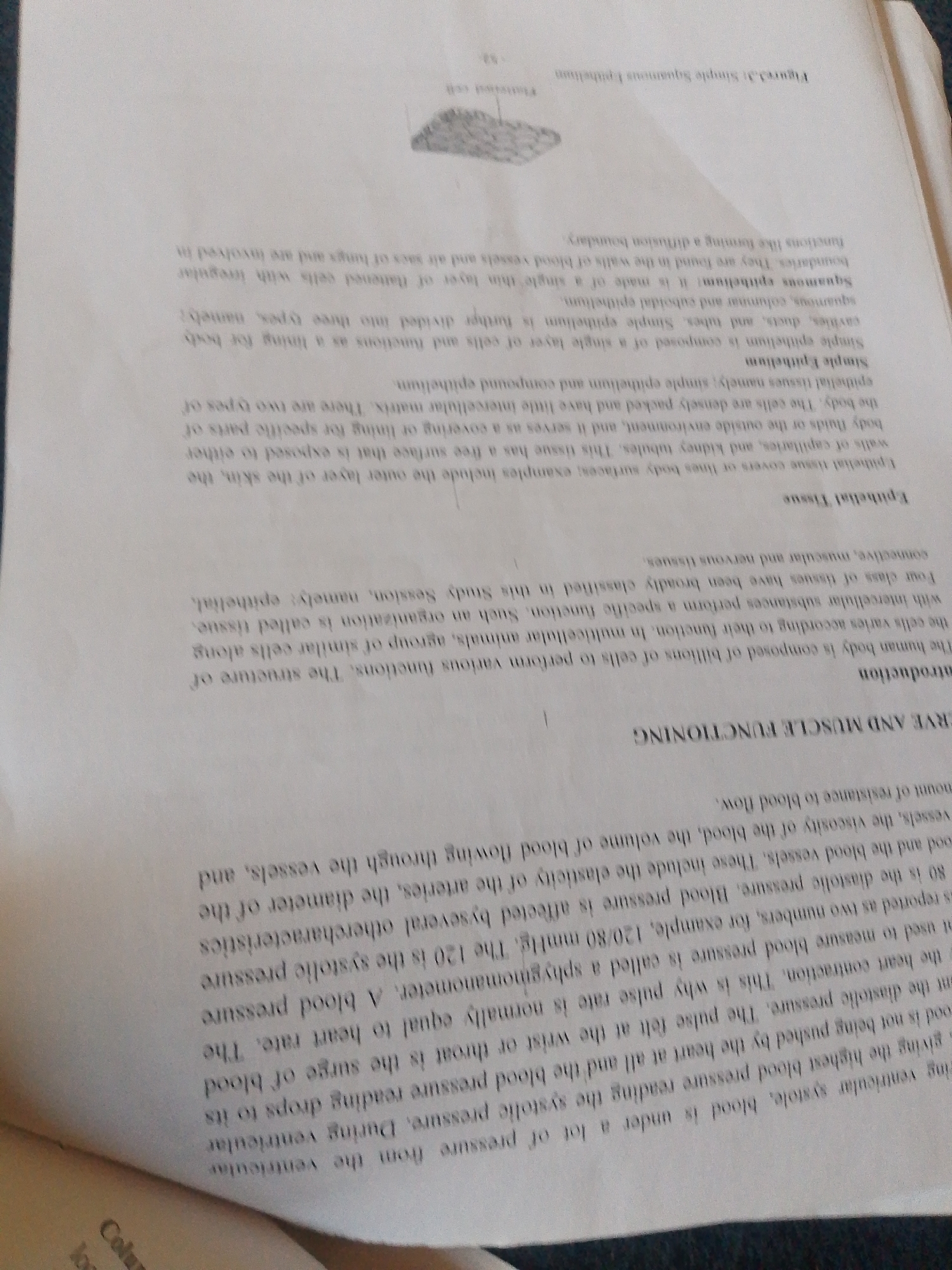 The image shows a page from a textbook with text about epithelial tissue and blood pressure. The text is printed on white paper and is angled. There is no identifiable content related to Jalingo, Nigeria.