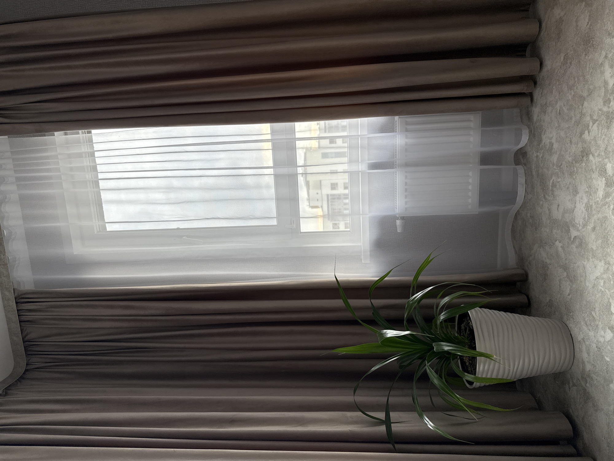 A potted green plant with long, slender leaves sits in a white, textured planter on a grey, patterned floor. The plant is positioned to the left of a window, which is dressed with two layers of curtains: heavy, brown velvet curtains on either side and a sheer white curtain in the center. Through the sheer curtain, a white radiator is visible, and beyond that, a view of a city with white buildings under a cloudy sky can be seen. The scene appears to be indoors, likely in a residential setting in Kazan, Russia, given the architectural style of the buildings outside.