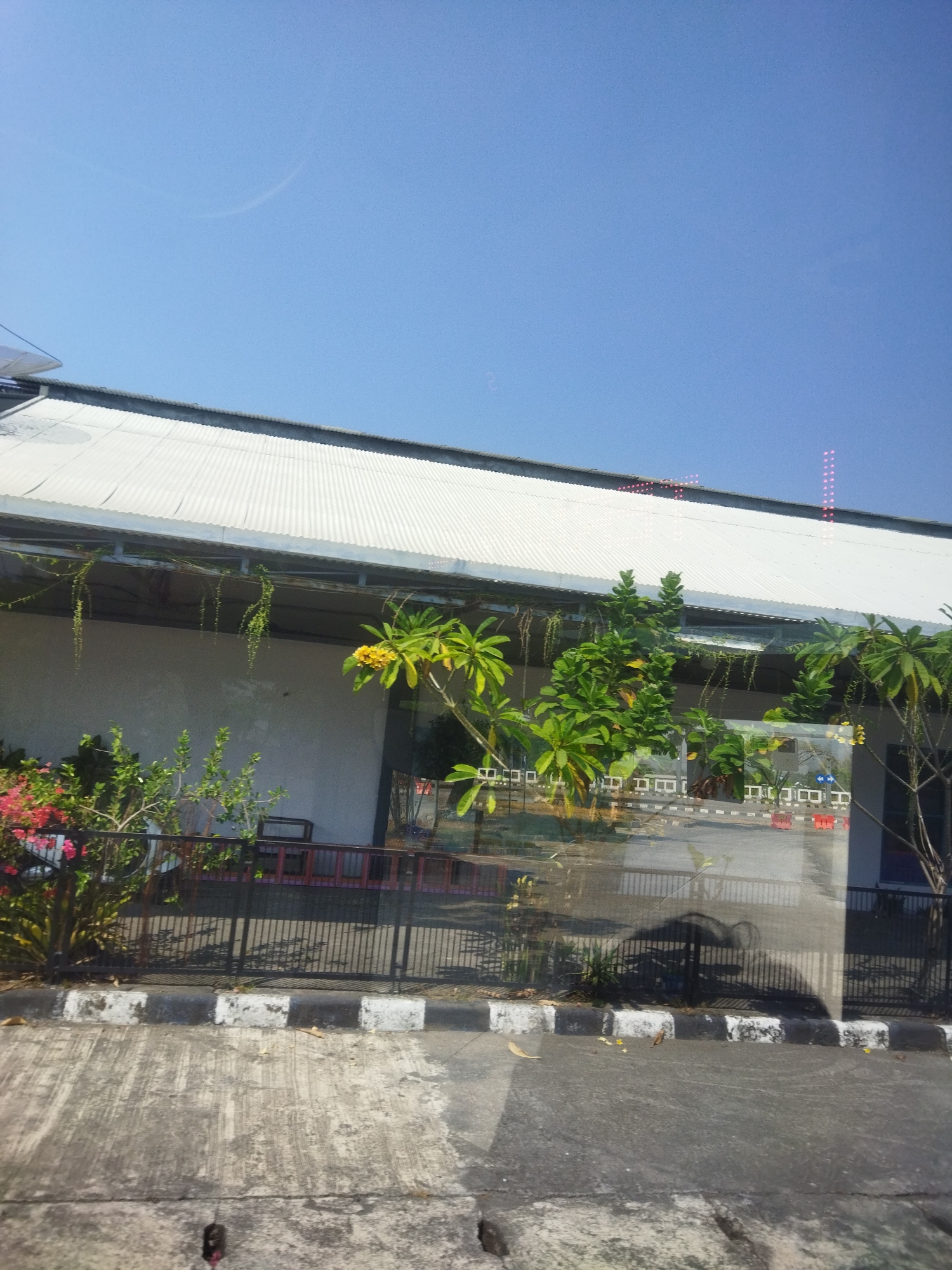 A low-angle, sunlit, outdoor, horizontal, medium shot captures a building's corrugated metal roof and side wall under a clear blue sky. The building appears to be in Kaliancar, Indonesia. A fence runs along the foreground, partially obscuring a row of plants and trees with green leaves and yellow flowers. Through the glass of the building, faint reflections of red traffic cones and a road are visible. The ground in the foreground is paved with concrete and shows signs of wear and tear, with a checkered curb bordering the road. The overall scene depicts a typical urban environment on a bright, clear day.