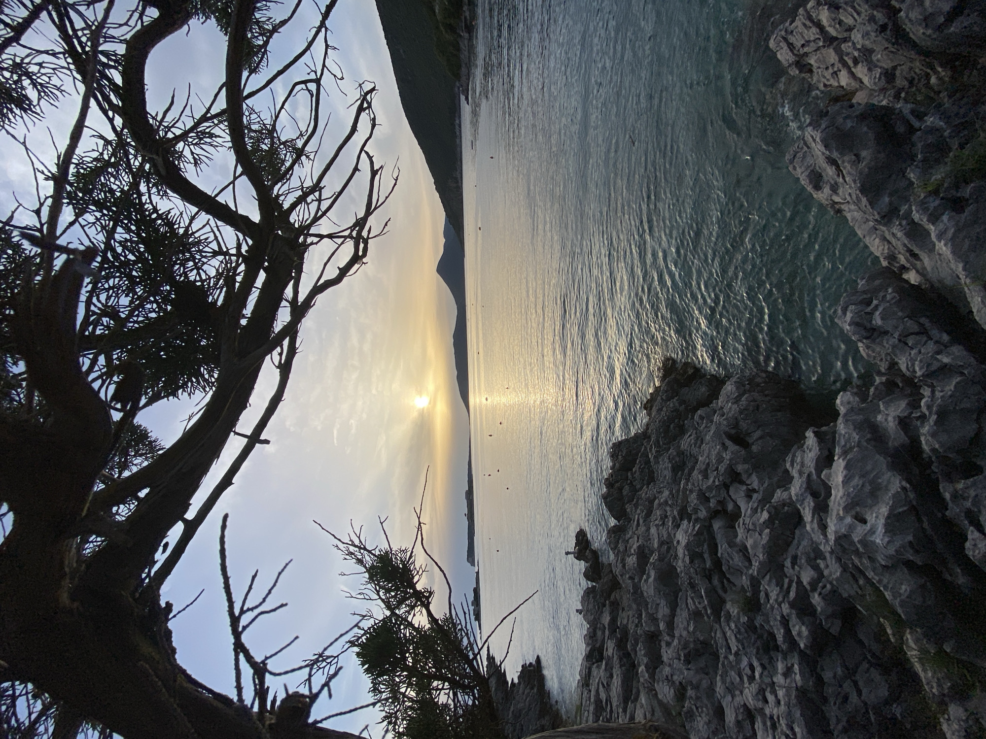 An eye-level, upside-down, horizontally composed landscape photo depicts an area near Luštica, Montenegro. The image showcases a cliffside view overlooking a body of water and a distant shoreline during what appears to be sunrise or sunset.
On the left side, a silhouetted tree with many thin branches rises upwards. The right side features a rocky cliff, with the water washing against it. The water is calm with a bright reflection where the sun is visible. In the middle distance, there is a hint of land, suggesting an island or distant part of the coast. The sky transitions in color, from a bright yellow-orange near the horizon to a lighter blue above.