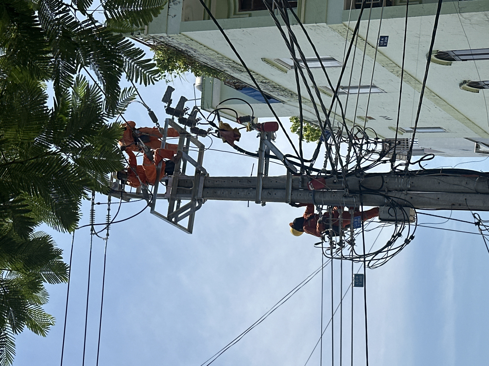 In Nha Trang, Vietnam, two utility workers in bright orange jumpsuits are seen performing maintenance on a utility pole against a clear blue sky. One worker, positioned higher on the pole, appears to be seated on a platform while the other, wearing a yellow hard hat, is actively working lower down, supported by a harness attached to the pole. The pole itself is a complex structure, heavily laden with a dense network of electrical wires, insulators, and transformers, suggesting a busy junction or distribution point. Adjacent to the utility pole, a light green building with multiple windows and an overhanging balcony is visible, with more overhead wires stretching across its facade. Lush green foliage from a large tree canopy partially obscures the upper portion of the scene. The overall impression is a snapshot of essential urban infrastructure maintenance in progress on a sunny day.