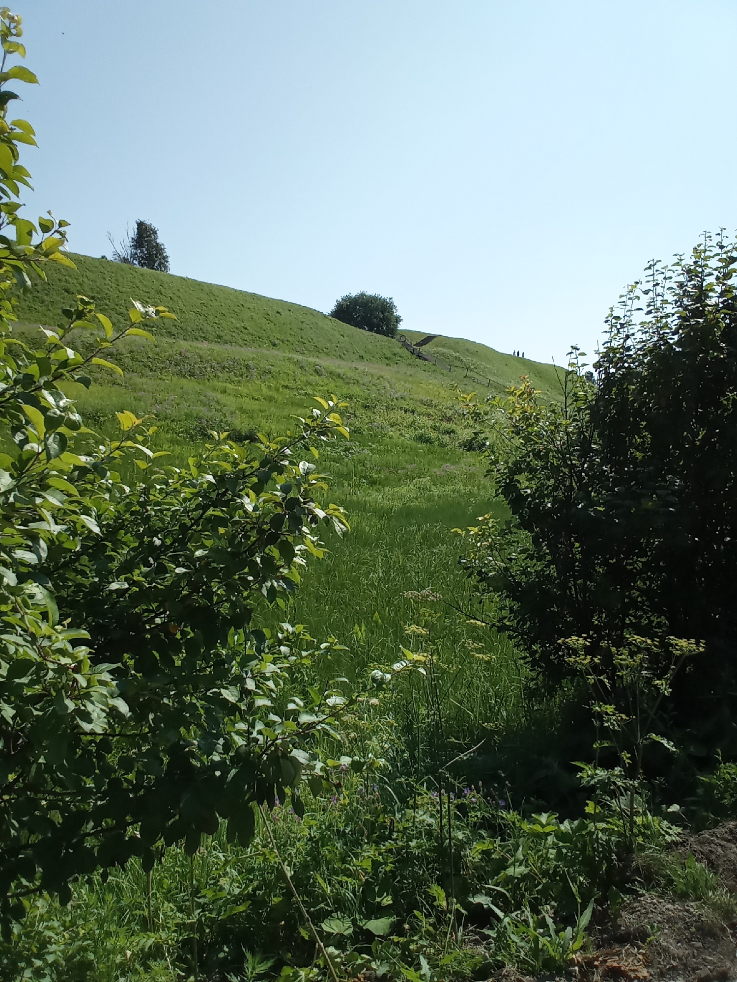 The image shows a bright, sunny day with a clear blue sky over a green, grassy hill. The hill is a prominent feature, with a path or set of stairs leading up its side. Several small figures, appearing to be people, are visible on the ascent of the hill. In the foreground, dense green foliage and trees obscure the lower portion of the scene, creating a natural border. The overall impression is of an outdoor recreational area or a natural landscape within or near the city of Belozersk, Russia, likely a park or a viewpoint.