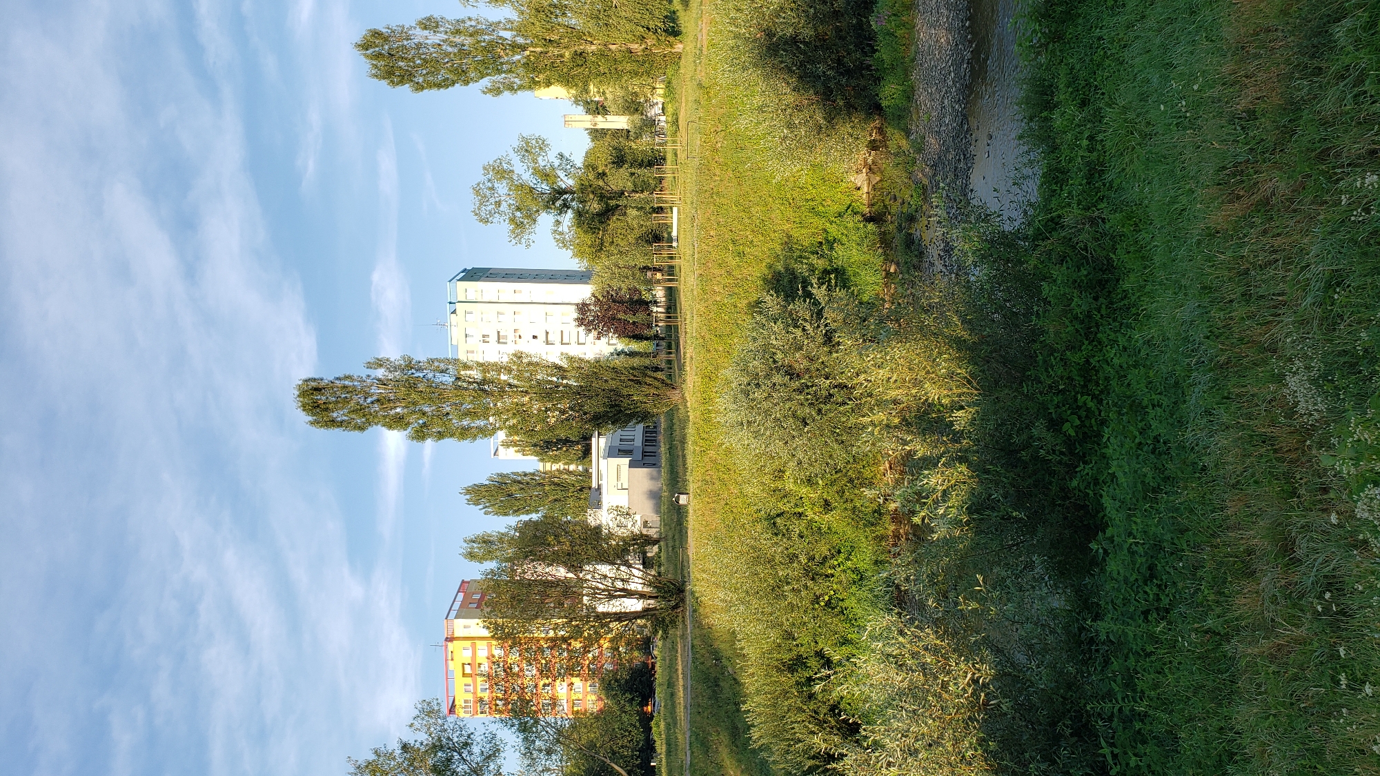 This is a medium-shot, eye-level outdoor photograph taken on a sunny day in the city of Prešov, Slovakia. The image captures a view of apartment buildings, trees, and a grassy area with a small body of water in the foreground.
In the background, three tall apartment buildings are visible. The leftmost building is brightly colored in yellow and orange. To its right is a white and light blue building, and further to the right is another pale yellow building. Various trees, including tall, slender poplars, are interspersed between the buildings and in the middle ground. A low-rise building with a gray facade is also present in the middle ground.
The middle ground consists of a gently sloping grassy hill dotted with trees and some shrubbery. In the far right background, a thin, industrial-looking structure, possibly a smokestack or part of a larger building, can be seen.
The foreground is dominated by lush green grass and dense shrubbery, with a narrow, shallow stream or river flowing through it. The water appears calm, with a stony bed visible in some areas. The lighting suggests it is either morning or late afternoon, with the sun casting long shadows and highlighting the greenery. There are no people or animals visible in the frame. The overall scene depicts a semi-urban environment with a strong presence of nature.