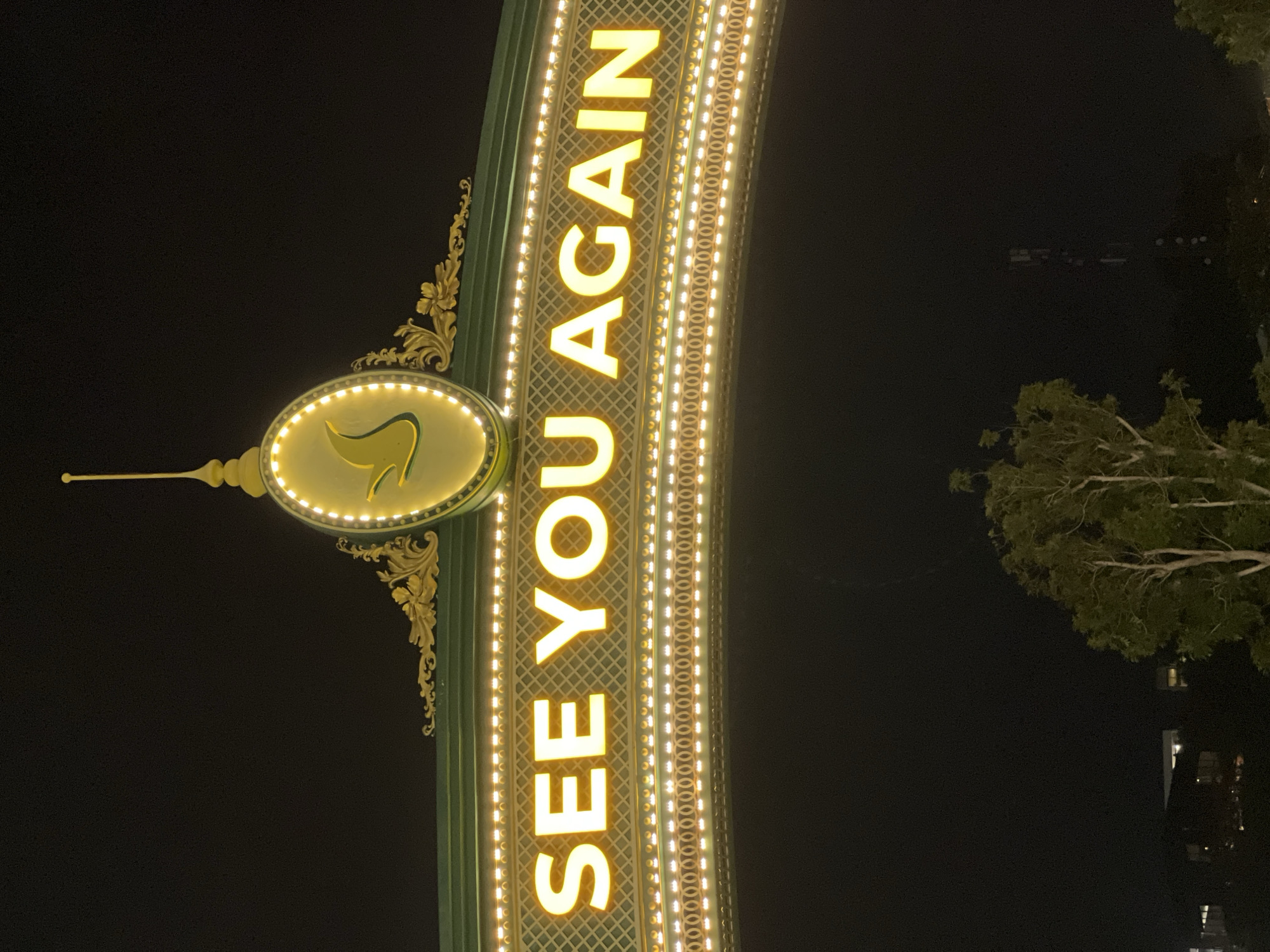The image shows a night view of the entrance arch of VinWonders Nha Trang amusement park. The arch is decorated with green paint, ornate gold trim, and illuminated yellow text that reads "SEE YOU AGAIN". The text is made of individual, brightly lit letters. Above the text is an oval-shaped emblem with a gold bird silhouette on a yellow background, surrounded by yellow lights. The sky is black, indicating nighttime. Below the arch, a few trees are visible, silhouetted against the dark sky. In the distance, faint lights of buildings and a cell tower can be seen, suggesting an urban or developed area. The overall scene depicts the exit of an attraction, designed to be welcoming and memorable for visitors.