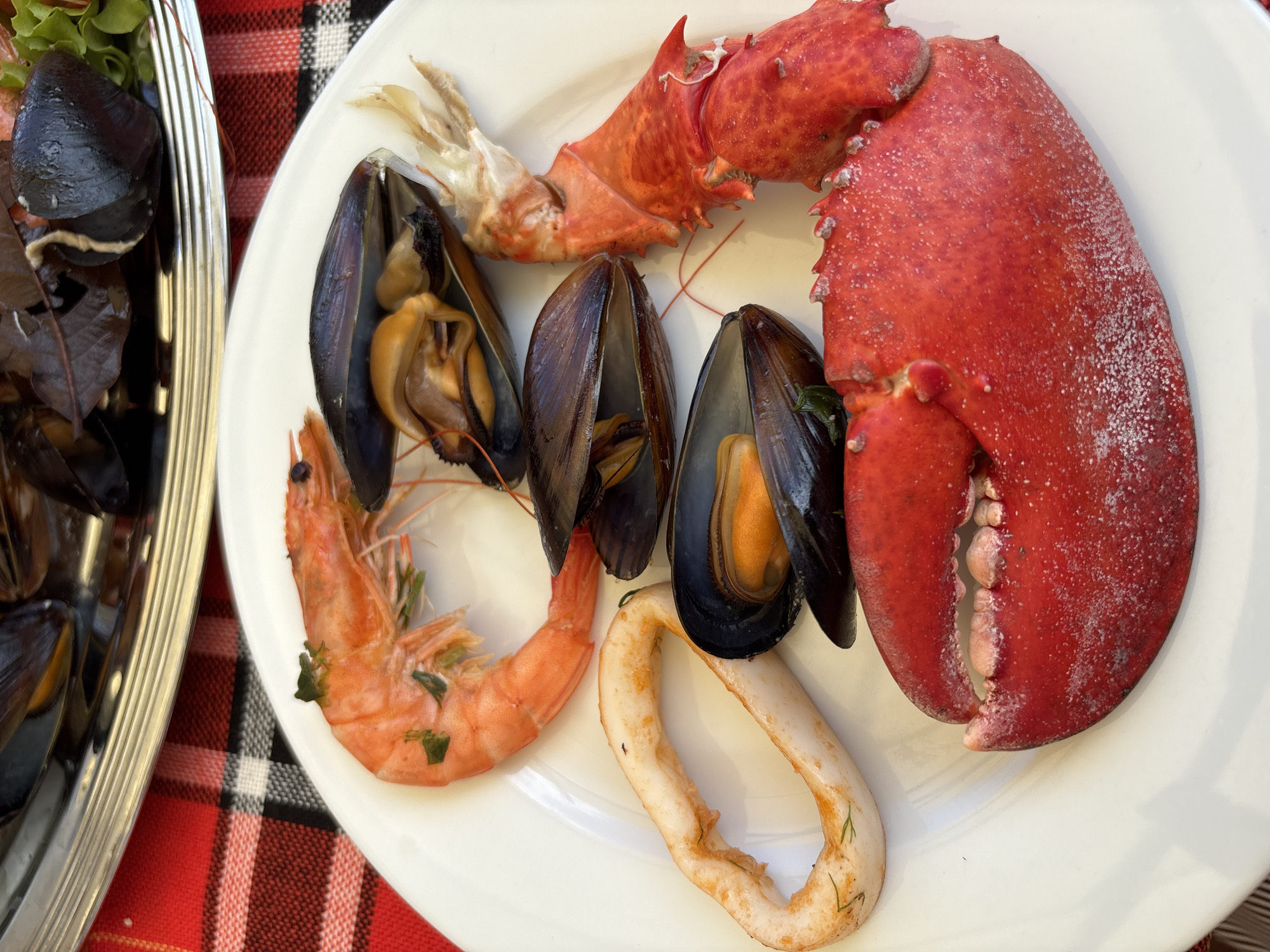 A close-up, top-down shot features a white plate filled with various seafood. A large, bright red lobster claw dominates the lower right portion of the plate, its rough texture and serrated edges clearly visible. To its left, a single ring of white calamari, lightly seasoned with green herbs, rests on the plate. Several dark-shelled mussels, some open to reveal their orange interiors, are scattered across the plate, primarily towards the center and upper right. A single, orange shrimp, garnished with green herbs, is positioned in the upper left. The plate sits on a red and white checkered tablecloth, with a silver platter of more mussels and greens visible in the background, slightly out of focus. The overall setting suggests an outdoor meal, possibly in Nesebar, Bulgaria, given the context of a food photography project from that location.