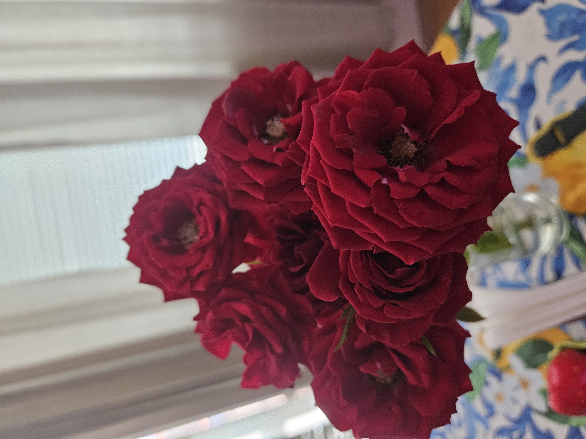 A bouquet of red roses is displayed in a glass vase on a table covered with a blue and white floral patterned tablecloth. The roses are a deep, rich red color, and their petals are tightly packed and velvety. The vase is partially filled with water, and some of the rose stems are visible. In the background, a sheer white curtain is drawn over a window, and the light filters through, creating a soft glow. To the left of the vase, a red apple sits on the table. The overall scene is one of simple, natural beauty, evoking a sense of warmth and tranquility. There is no indication of the city of Veliko Tarnovo, Bulgaria.
