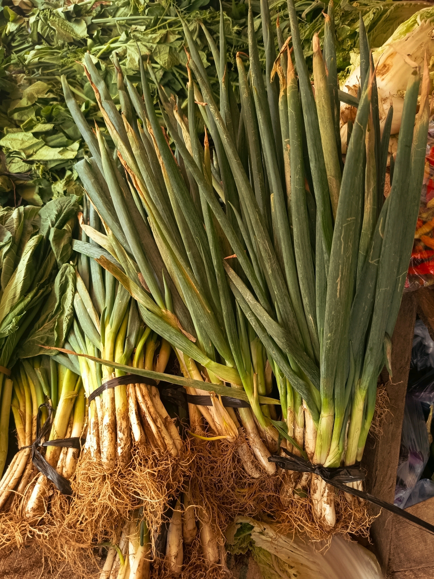 The image shows a close-up, overhead view of several bunches of green onions, also known as scallions, displayed at a market stall. The green stalks of the onions are long and slender, with some exhibiting slight browning or wilting at the tips. The white bulbous bases are tied together with black ties, and a dense network of fine, brown roots is visible beneath them. Behind the green onions, there are piles of other green leafy vegetables, some appearing wilted and dried. The overall impression is one of fresh produce at a market, likely in Indonesia given the context provided. The lighting is natural, highlighting the textures and colors of the vegetables.