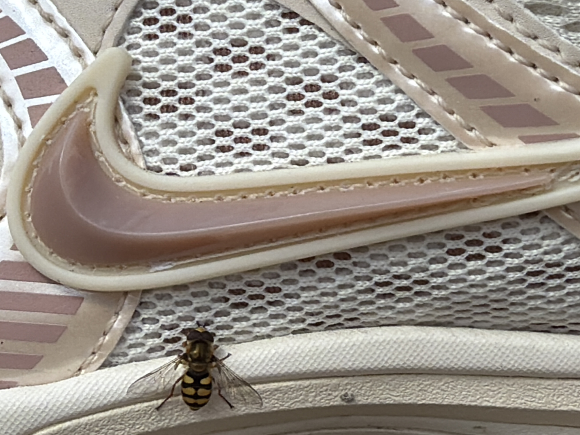 A hoverfly with black and yellow markings is resting on a pale pink and white athletic shoe. The shoe has a mesh texture and a pink Nike swoosh. The scene appears to be outdoors, with the shoe on a concrete surface, possibly in a park or courtyard. There are no people visible in the image.