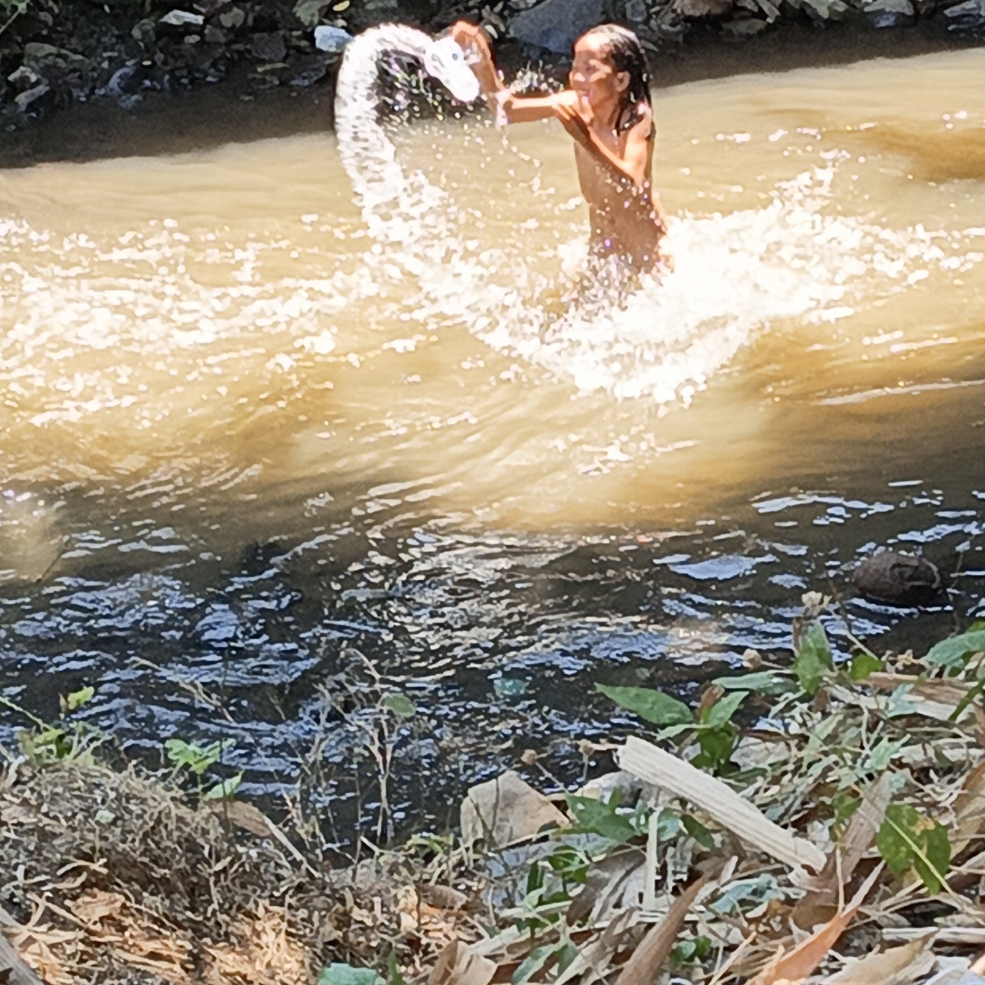 In Mangli, Indonesia, a young person is playing in a river. The river is shallow and murky, with a muddy bottom. The young person is splashing water and appears to be enjoying themselves. The riverbanks are overgrown with vegetation. The scene suggests a simple, outdoor activity in a rural or semi-rural setting.