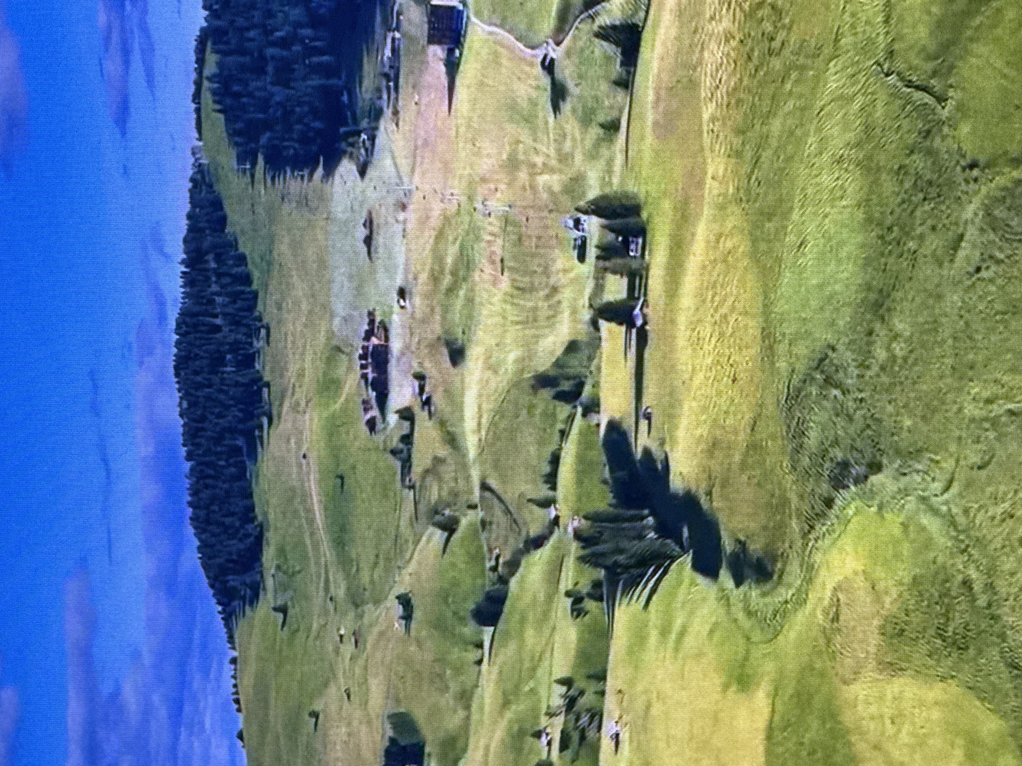 This is an aerial photograph of a vast, rolling green landscape dotted with scattered buildings and dense patches of trees. The terrain is characterized by undulating hills and valleys, with some areas appearing to be meadows or fields. A winding path is visible, cutting through the landscape. In the distance, a wooded mountain slopes upwards, with a clear path or ski lift track ascending its side. The sky above is a vibrant blue with a few wispy clouds. There are no visible people or animals in the image. The scene does not depict Dubai, United Arab Emirates, but rather a mountainous, rural area.