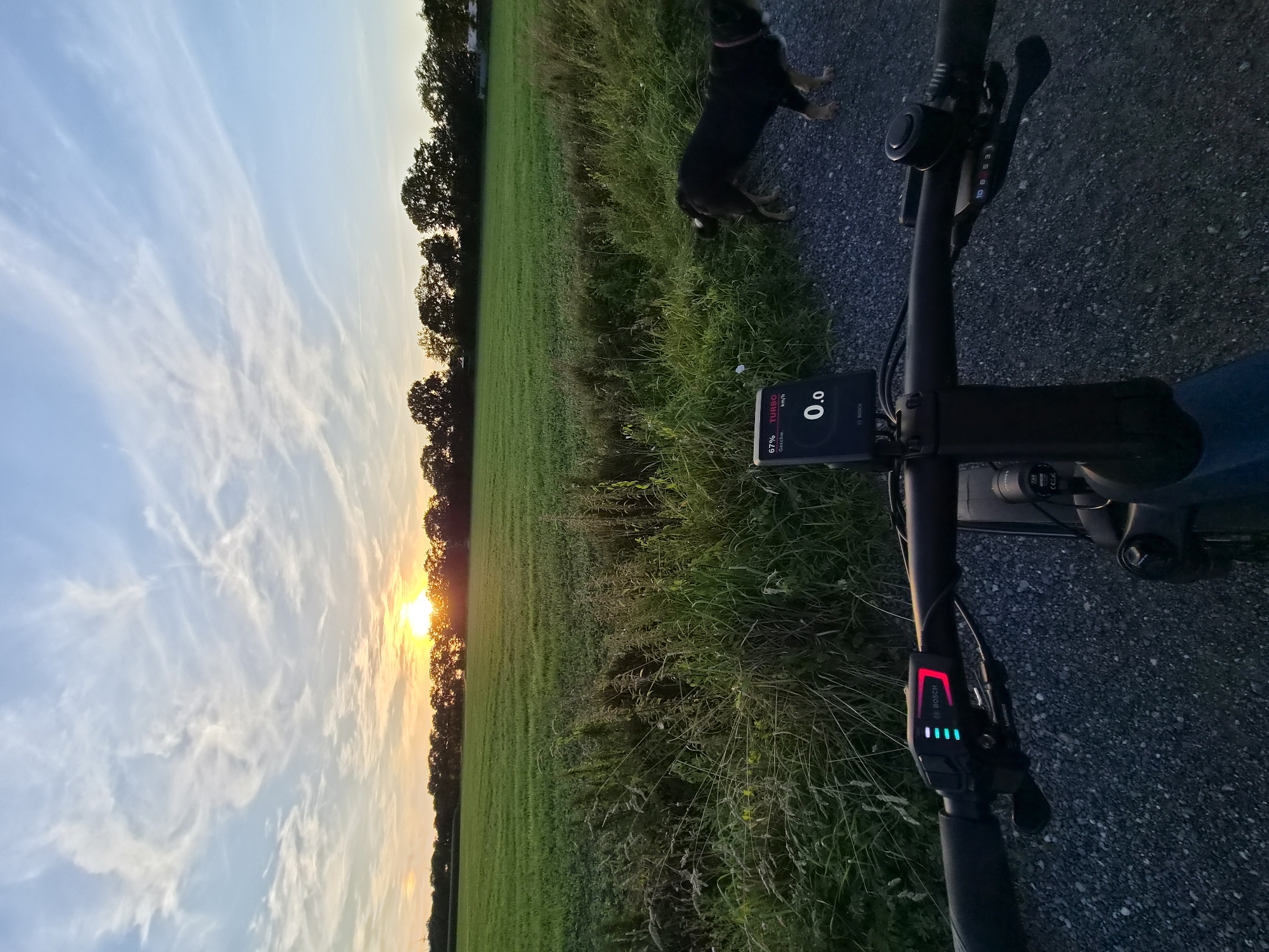 The image depicts a first-person perspective of a person riding an electric bicycle at sunset in Schiffdorf, Germany. The foreground shows the handlebars of the bicycle with a Bosch display indicating "67% TURBO Geschw. 0.0 km/h". To the right of the bicycle, a black and tan dog is visible on a gravel path. The background features a lush green field bordered by a line of trees silhouetted against the orange and blue sky of the setting sun. Wispy clouds are scattered across the sky. The overall environment suggests a rural or semi-rural setting.