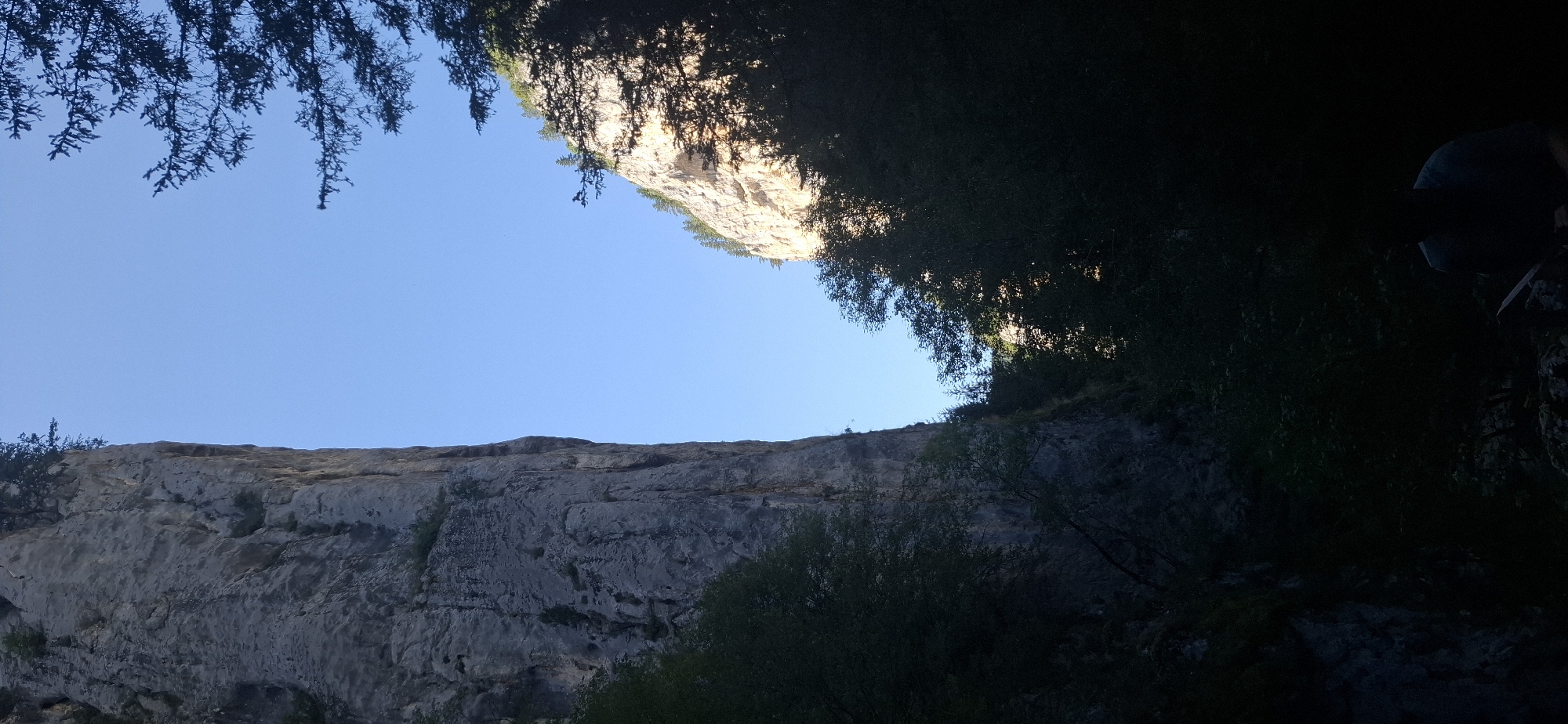 The image depicts a view from within a gorge, likely the Trigrad Gorge in Bulgaria, given the geological formations. Dominating the left side of the frame is a sheer, towering rock face, its textured surface indicating significant erosion and geological age. To the right, the gorge walls curve away, revealing a sunlit cliff face adorned with sparse vegetation and pine trees at its crest. The sky above is a clear, vibrant blue. The foreground is heavily shadowed, with dense foliage and trees obscuring much of the lower area. A dark silhouette of a person is visible in the lower right corner, appearing to be seated or crouched amidst the shadows, possibly with an object on their lap. The lighting suggests a time of day when the sun is casting deep shadows, typical of late afternoon or early morning within a gorge.
