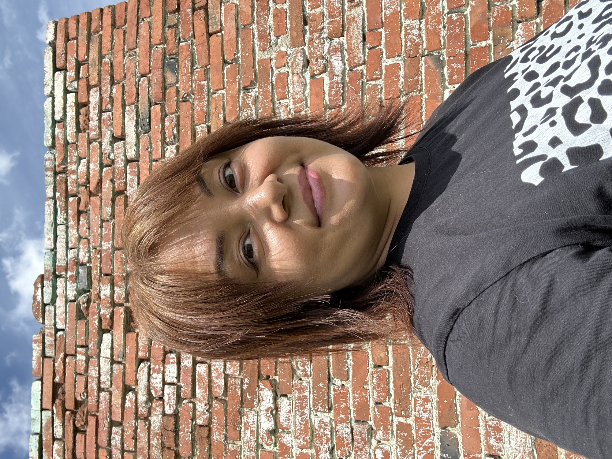 A woman with brown hair and fair skin is taking a selfie in front of a red brick wall. She is wearing a black t-shirt with a white pattern. The sky is visible above the wall with some clouds. The image is taken outdoors in daylight. The location is unknown.