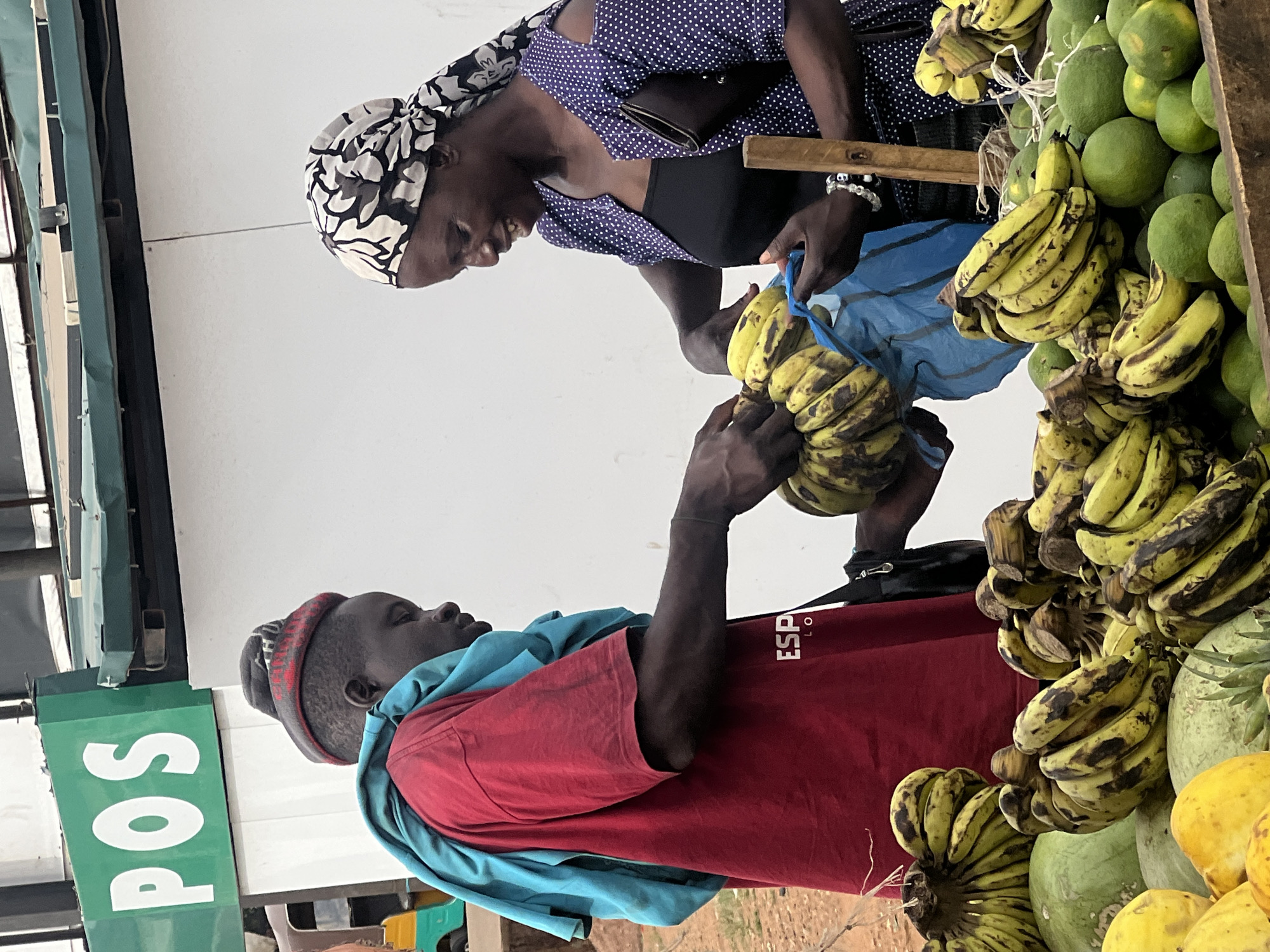 This portrait-oriented image, rotated 90 degrees counter-clockwise, depicts a lively transaction between two individuals at an outdoor market stall, likely in Gura Top, Nigeria.
On the left, a woman with dark skin and a pleasant, engaged expression is seen holding a blue plastic bag. She wears a striking black and white patterned head wrap, a dark blue polka-dotted blouse over a black undershirt, and a black bag slung over her shoulder. Her hands are extended towards the vendor.
Facing her, on the right, is a man with dark skin, presumably the vendor. He is wearing a red t-shirt with white text partially visible as "ESP LO" and a dark knit cap. A light blue fabric is draped over his shoulder. He is actively placing or handing over a large bunch of ripe, yellow bananas (some with brown spots) into the woman's blue bag. His hands are focused on the fruit, and his gaze is directed towards the transaction.
The market stall is well-stocked with fresh produce. Numerous bunches of bananas are visible, alongside a large pile of green citrus fruits, likely limes or oranges, and other yellowish fruits at the bottom right. A rustic wooden structure or shelf is part of the display.
The background is predominantly a plain white wall or surface, suggesting a simple market setup. To the far left, a green sign with the white letters "POS" is prominently displayed, indicating a point of sale or service. The scene is brightly lit, implying daytime. The interaction captures a typical moment of commerce and community in a local market setting.