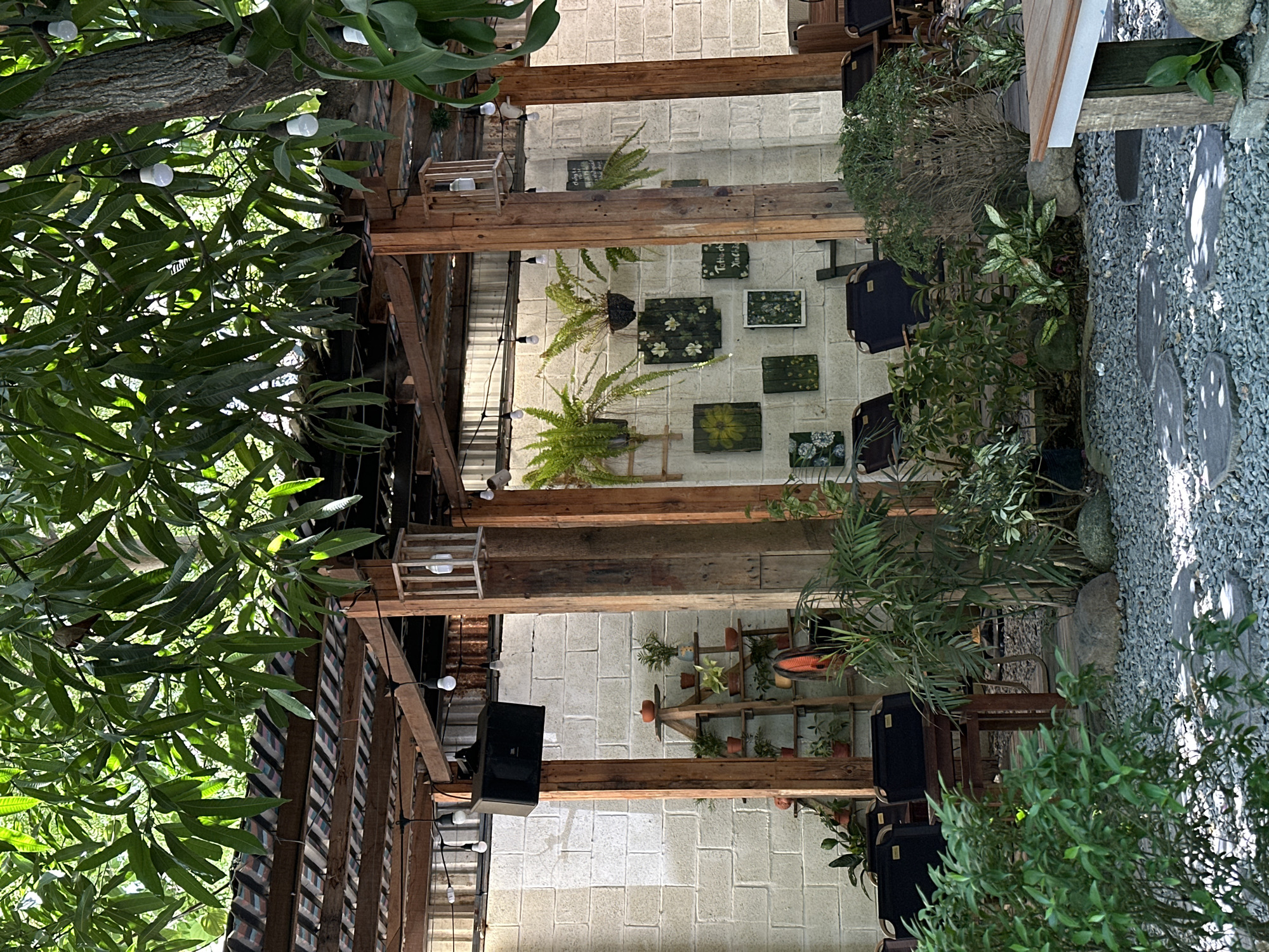 The image depicts an outdoor seating area at a cafe in Da Nang, Vietnam. The space is covered by a wooden roof structure with exposed beams, draped with green foliage from overhead trees. String lights with visible bulbs are suspended from the roof. The walls are made of light-colored, rough-textured brick.
Several potted plants and ferns are strategically placed throughout the area, contributing to a lush, natural ambiance. Some plants hang from the walls, while others are arranged on a wooden ladder-like shelf. Decorative artwork, featuring floral motifs, is hung on the brick wall.
A speaker is mounted on a wooden pillar. The ground is covered with small gray pebbles, interspersed with flat, dark circular stepping stones. In the foreground, several dark foldable chairs are visible, along with wooden tables. The lighting suggests it is daytime, with sunlight filtering through the leaves and casting shadows on the ground. The overall impression is a relaxed, garden-like cafe environment.