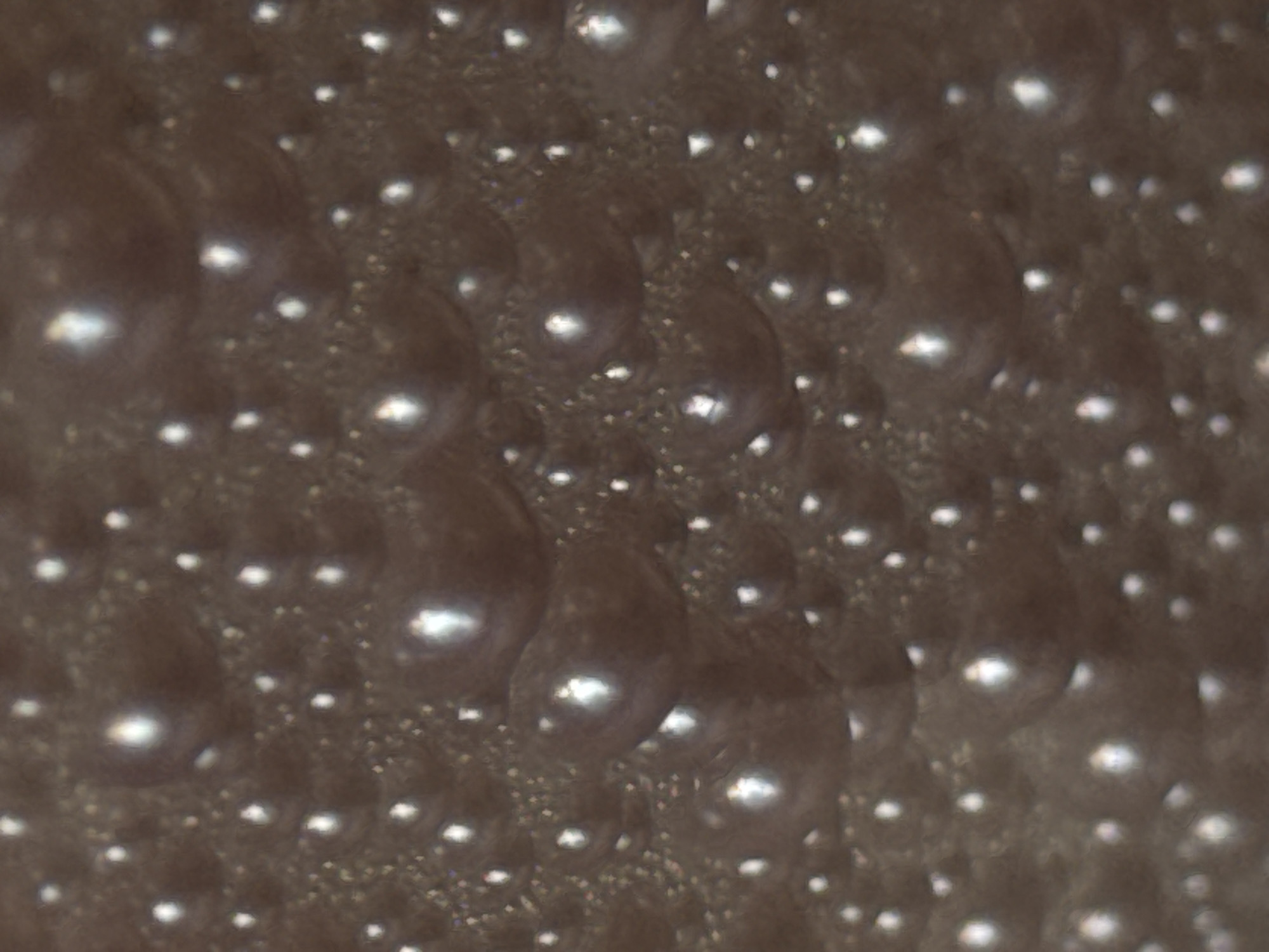 The image displays a close-up, macro view of a textured, dark brown surface with numerous small, bright, reflective bubbles or particles scattered across it. The lighting creates highlights on these spherical elements, suggesting they are either raised or have a glossy finish. The background is uniformly dark brown and exhibits a bumpy or porous texture. There are no discernible features related to a specific city or location, such as buildings, landmarks, or any contextual elements that would indicate Moscow, Russia. The image is purely an abstract representation of a textured surface with light reflections.