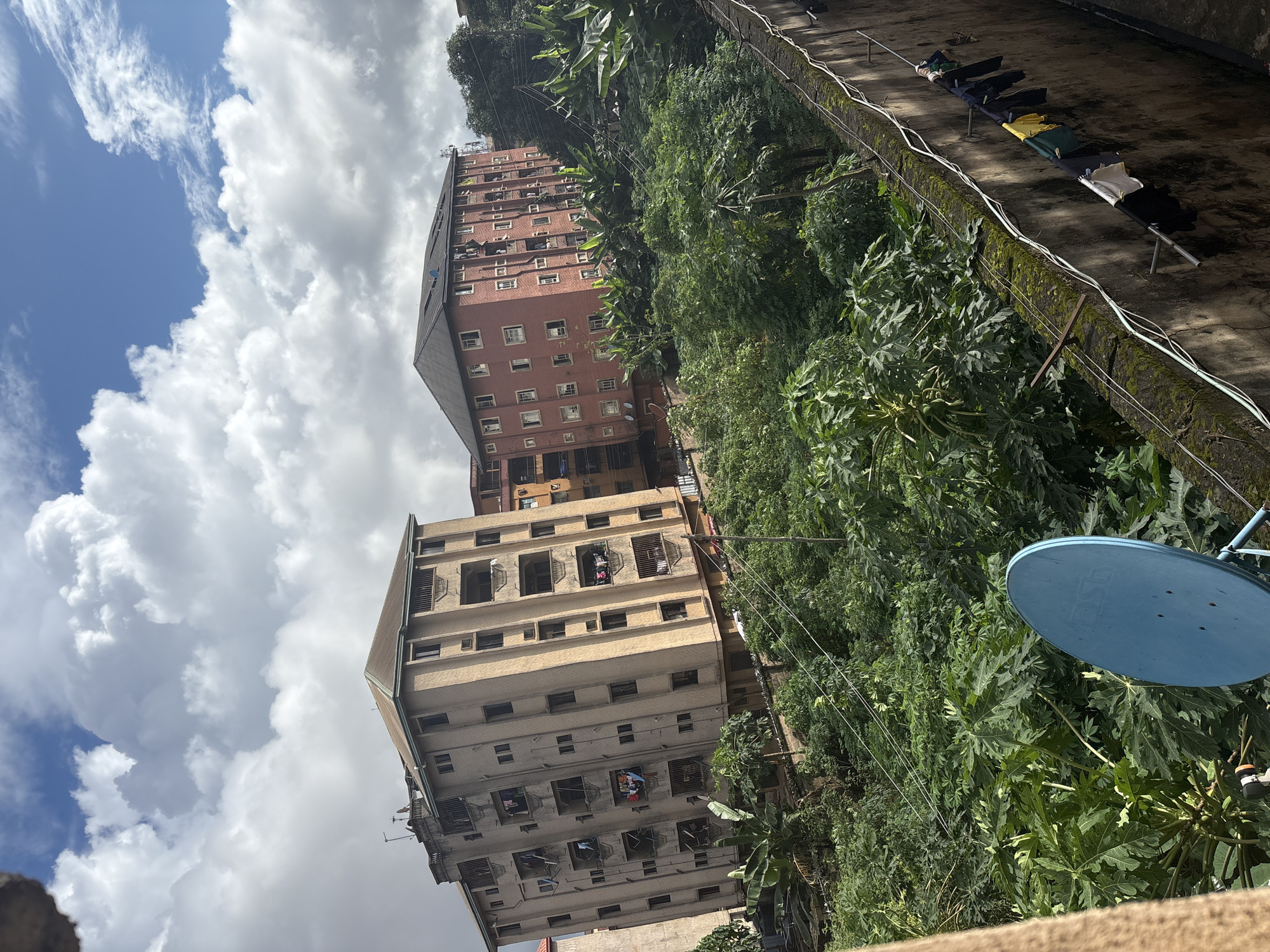 The image captures an outdoor scene in Onitsha, Nigeria, featuring two residential apartment buildings amidst lush greenery under a sky with scattered clouds. The building on the left is a multi-story structure with a beige facade, adorned with balconies and numerous windows. Laundry is visible hanging from some of the balconies, suggesting the presence of residents. The building on the right is a similar multi-story apartment building with a reddish-pink facade, also featuring balconies and windows. The foreground is dominated by dense vegetation, including trees and large-leafed plants, characteristic of a tropical environment. A concrete wall runs along the right side of the frame, with clotheslines strung across it, displaying more laundry. A blue satellite dish is visible in the lower left portion of the image, perched on a stand among the plants. Power lines crisscross the scene, common in urban Nigerian settings. The overall impression is one of a lived-in urban environment where nature and residential structures coexist.