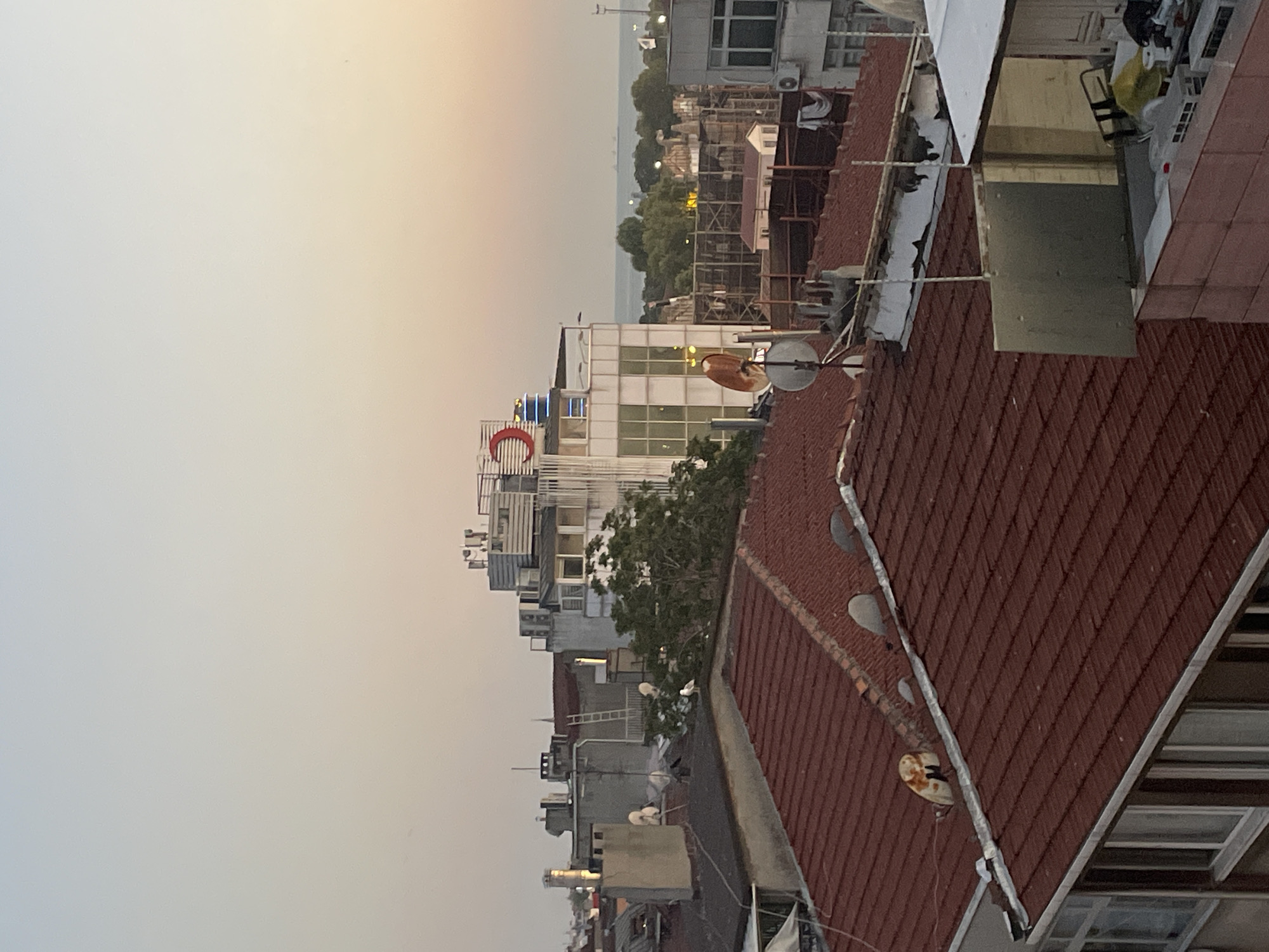 The image captures a rooftop view of a city at dusk, likely in Kadıköy, Turkey, given the presence of a prominent red crescent symbol on a building. The foreground is dominated by a steeply pitched red-tiled roof. In the midground, several buildings of varying heights and architectural styles are visible. Some are covered in grey facades, while others feature white exteriors with numerous windows. Various antennae and satellite dishes are scattered across the rooftops. A large, leafy tree is situated amidst the buildings. Further in the background, more urban structures and greenery are discernible, leading to a body of water, possibly the Sea of Marmara, with ships visible on the horizon. The sky is a soft gradient of pale blue and peach, indicative of sunset. The overall scene conveys a sense of urban density and the transition from day to evening.