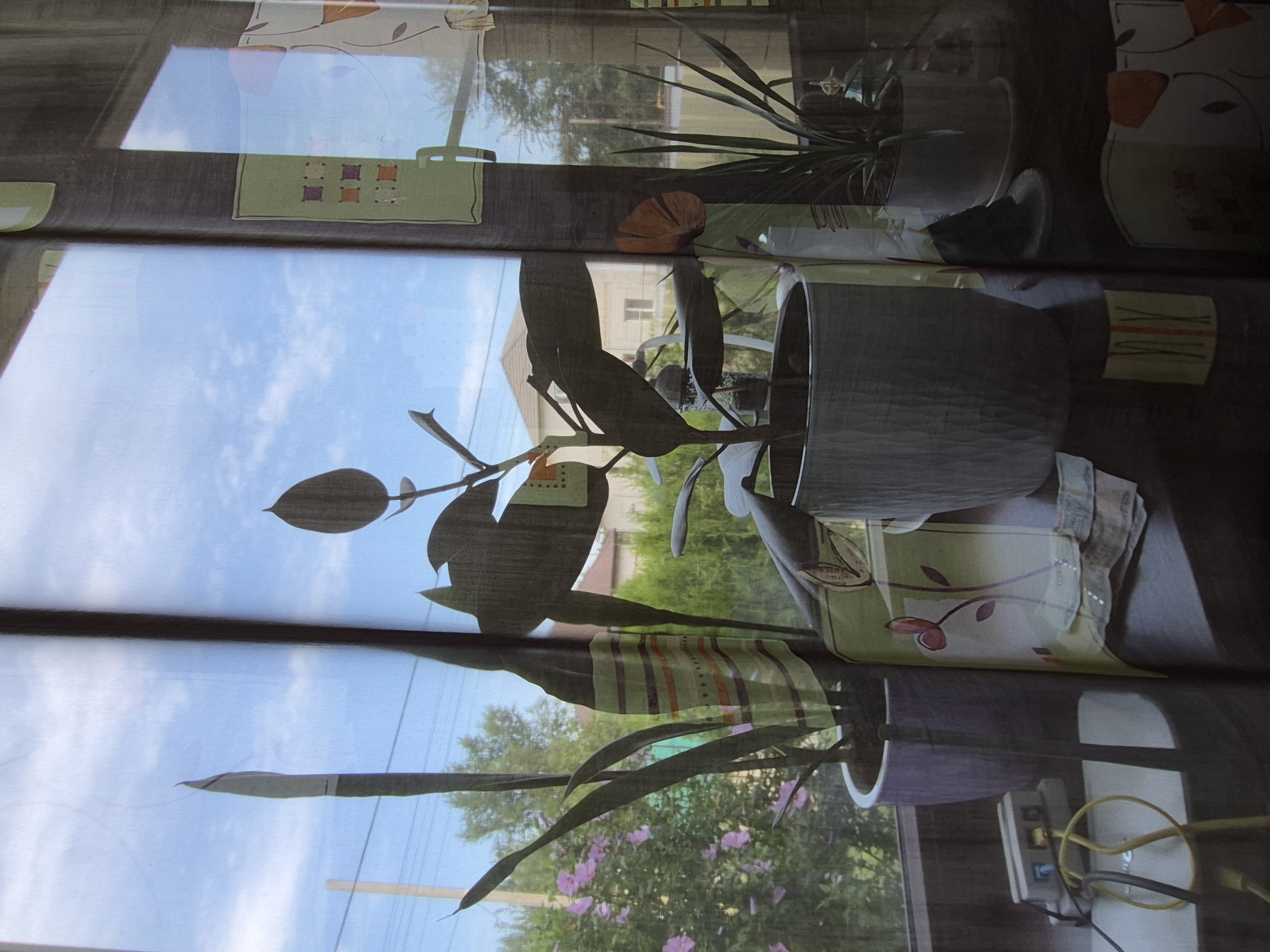 This is a photograph of houseplants on a windowsill, taken from inside a building looking out. The view outside is of a blue sky with scattered white clouds, trees, and houses, suggesting a suburban or rural setting. The plants are in pots and are silhouetted against the bright window.
Specifically, on the windowsill, there are at least three potted plants. One is a snake plant in a purple pot, positioned on the left side of the frame. To its right is a larger plant with broad leaves in a textured grey pot. Further to the right, there is a tall, slender plant with spiky leaves in a white pot. In front of the plants, on the windowsill, are some decorative items, including what appears to be fabric with floral patterns and some small papers. On the far left, there is an electrical adapter with cables plugged into it.
The image is taken through a sheer curtain, which distorts the view slightly and creates a soft, diffused light. The curtain has vertical panels that create lines across the image, further obscuring the details outside and creating a somewhat abstract effect. The overall impression is one of domestic tranquility and the integration of nature within an indoor space.
Given the limited visual information, it is not possible to definitively determine the precise location within Astrakhan, Russia. However, the presence of trees, houses, and the general style of vegetation are consistent with many areas in and around Astrakhan.
