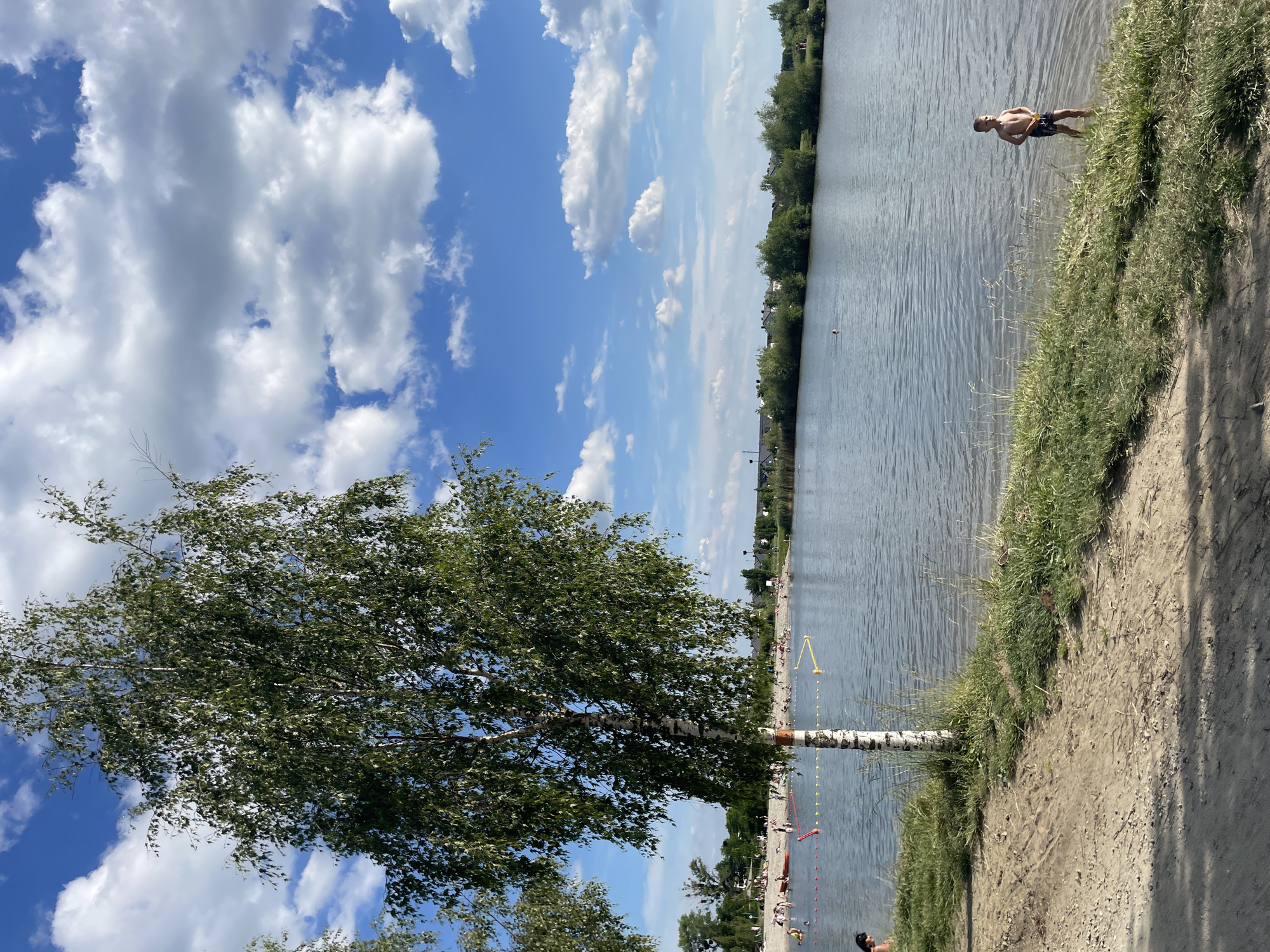The image depicts a summer scene at a recreational area in Siechnice, Poland. In the foreground, a birch tree with green foliage stands prominently against a blue sky dotted with white clouds. Adjacent to the tree is a sandy shore, which transitions into a grassy embankment along the lake's edge. A shirtless individual stands in the water near the shore. In the background, the opposite bank of the lake is lined with trees and distant buildings, indicating the edge of the town. A beach area is visible along the lake, filled with people enjoying the weather, some engaged in swimming. There are various flags and swimming aids visible in the water, indicating a designated swimming zone. The overall atmosphere is sunny and relaxed.