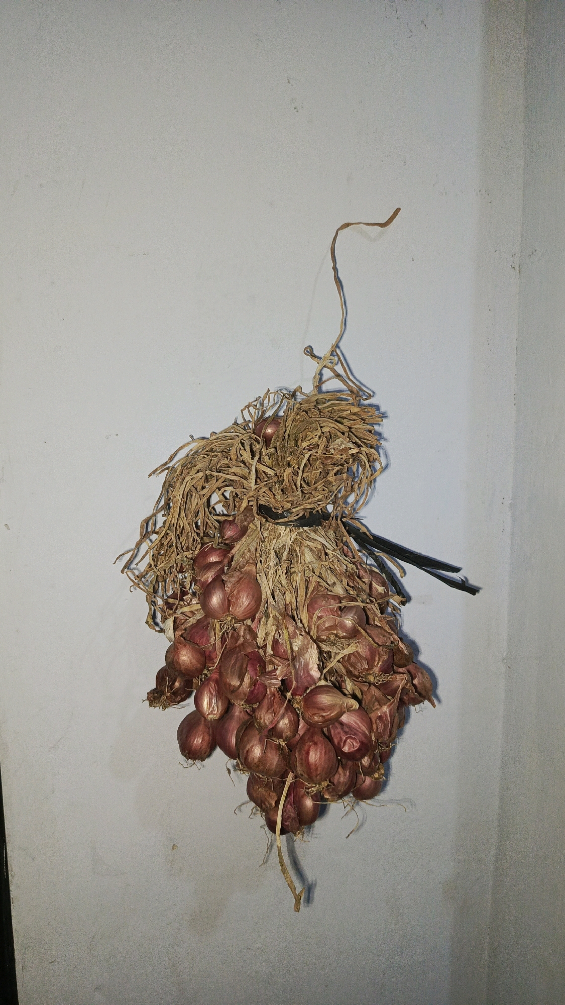 A bunch of shallots is hanging from a hook on a plain, light-colored wall. The shallots are tied together with dried straw and a black cord or strap. The wall appears to be in a residential setting in Babadan, Indonesia, possibly a kitchen or storage area. The lighting suggests an indoor environment. There are no people or animals present.