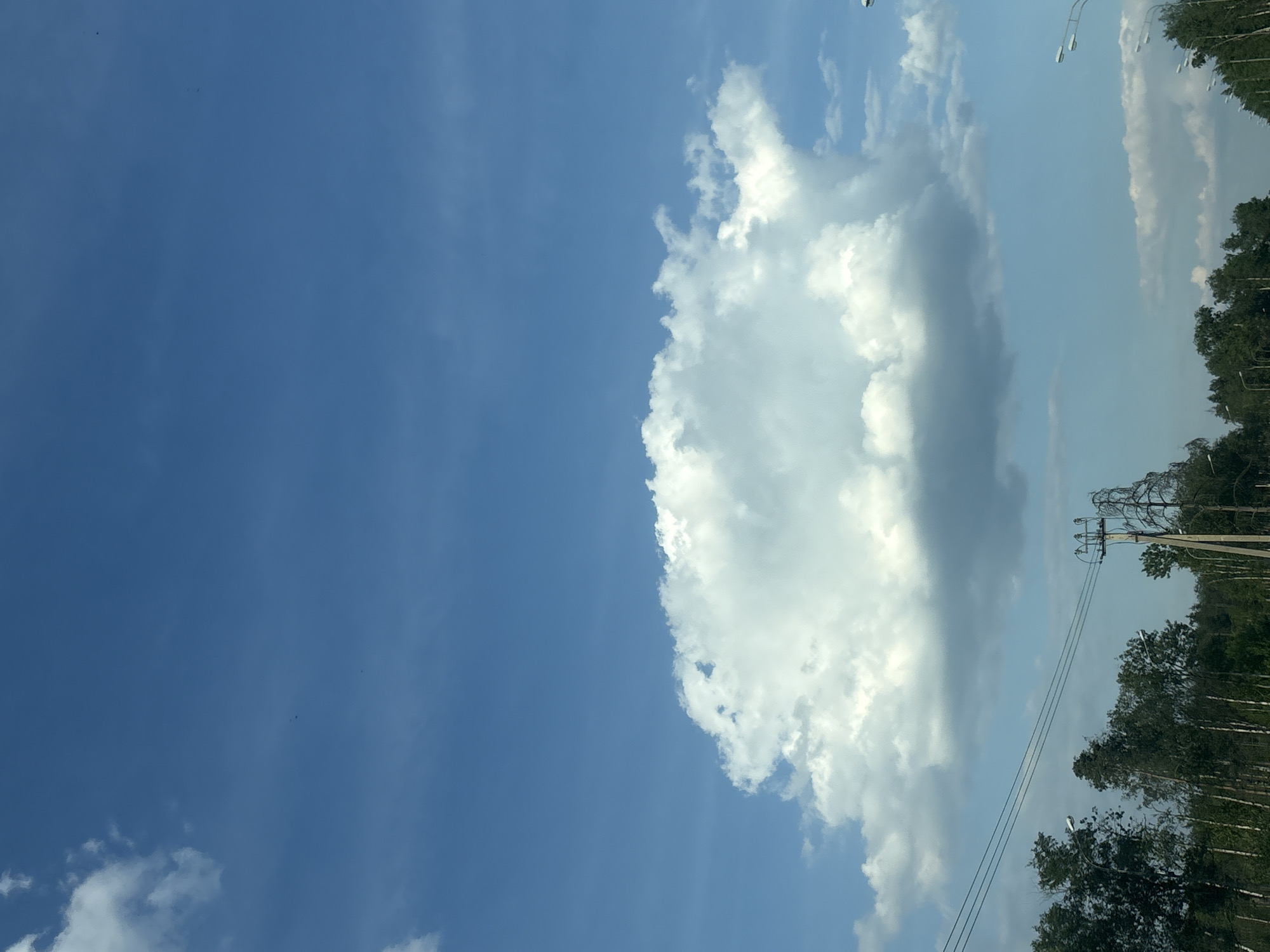 The image depicts an outdoor environment in Yoksolovo, Russia, under a bright daytime sky. The upper two-thirds of the frame are dominated by a clear blue sky, featuring a prominent, large, fluffy white cumulus cloud centered in the mid-ground. Smaller, thinner cloud formations are visible in the upper left and right, and some darker, flatter clouds appear near the horizon on the right.
The lower third of the image shows a dense line of green deciduous trees, including several birch trees with their characteristic white bark, forming a forest edge or roadside vegetation. Multiple parallel power lines traverse horizontally across the mid-section, supported by at least one concrete utility pole equipped with insulators, positioned towards the center-right. Numerous streetlights, featuring double arms, are visible among the trees and receding into the distance along what appears to be a road or highway on both the left and right sides of the frame. No human figures, animals, or vehicles are present.