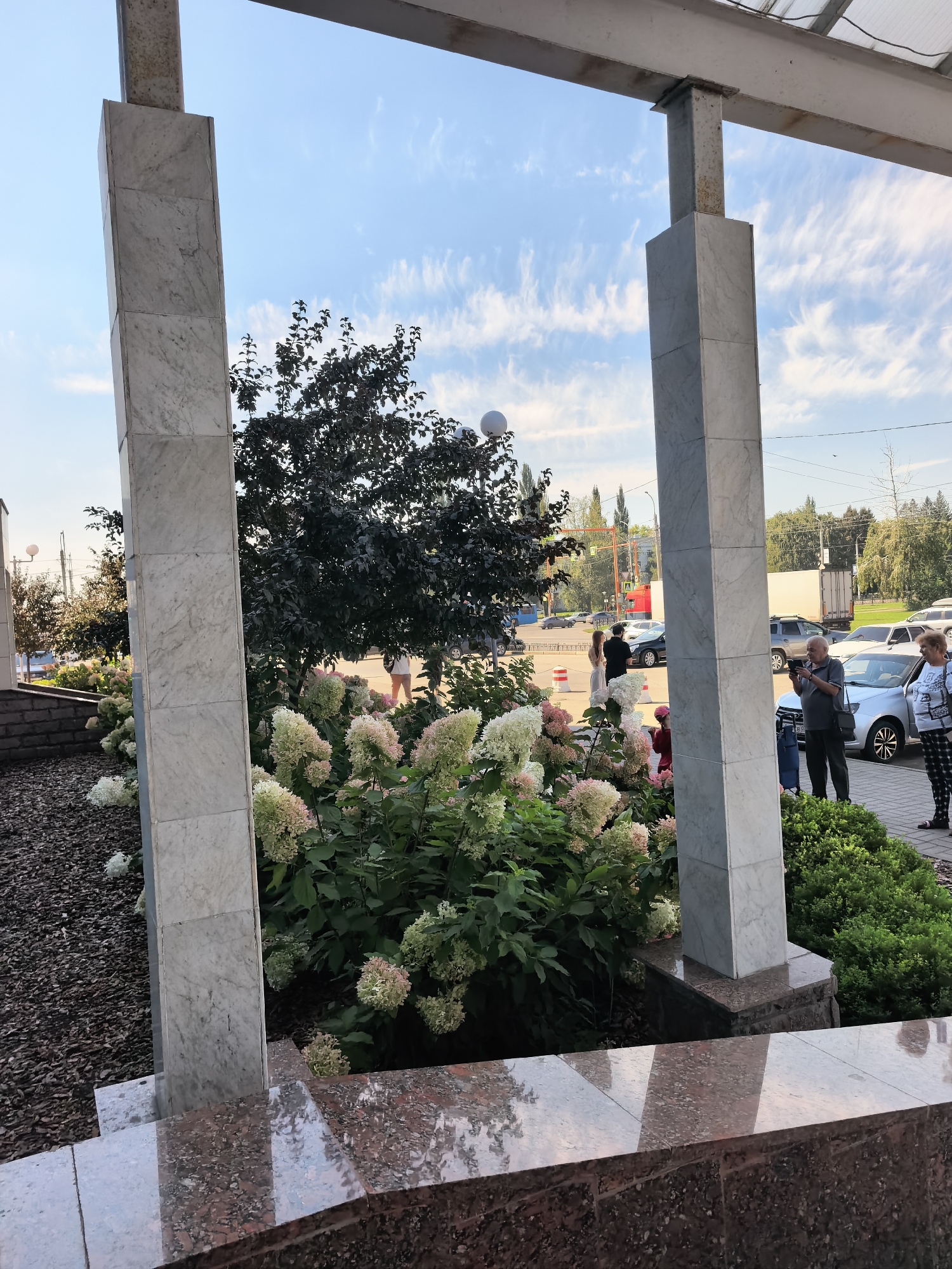 The image depicts an outdoor scene featuring architectural elements and people, with indications suggesting a location in Sterlitamak, Russia. In the foreground, two large, square marble-clad pillars frame the view. Between them, a lush hydrangea bush with white and pink blossoms is prominent. Behind the bush, a dark-leaved tree stands tall.
Further in the background, a street scene unfolds. Several cars are parked and in motion. On the sidewalk, a group of people are gathered. One man, wearing a dark t-shirt and a shoulder bag, is holding a camera to his eye, appearing to take a photograph. Next to him, a woman in a patterned top and pants stands. To their left, a couple is interacting, with the woman in a white dress and the man in a dark suit. A young child with a pink head covering is also visible near the hydrangea bush.
The sky above is a bright blue, with wispy white clouds. The overall atmosphere suggests a pleasant, daytime setting. The presence of cars, road infrastructure, and buildings in the distance points to an urban environment. The style of the buildings and the general ambiance are consistent with a location in Russia.