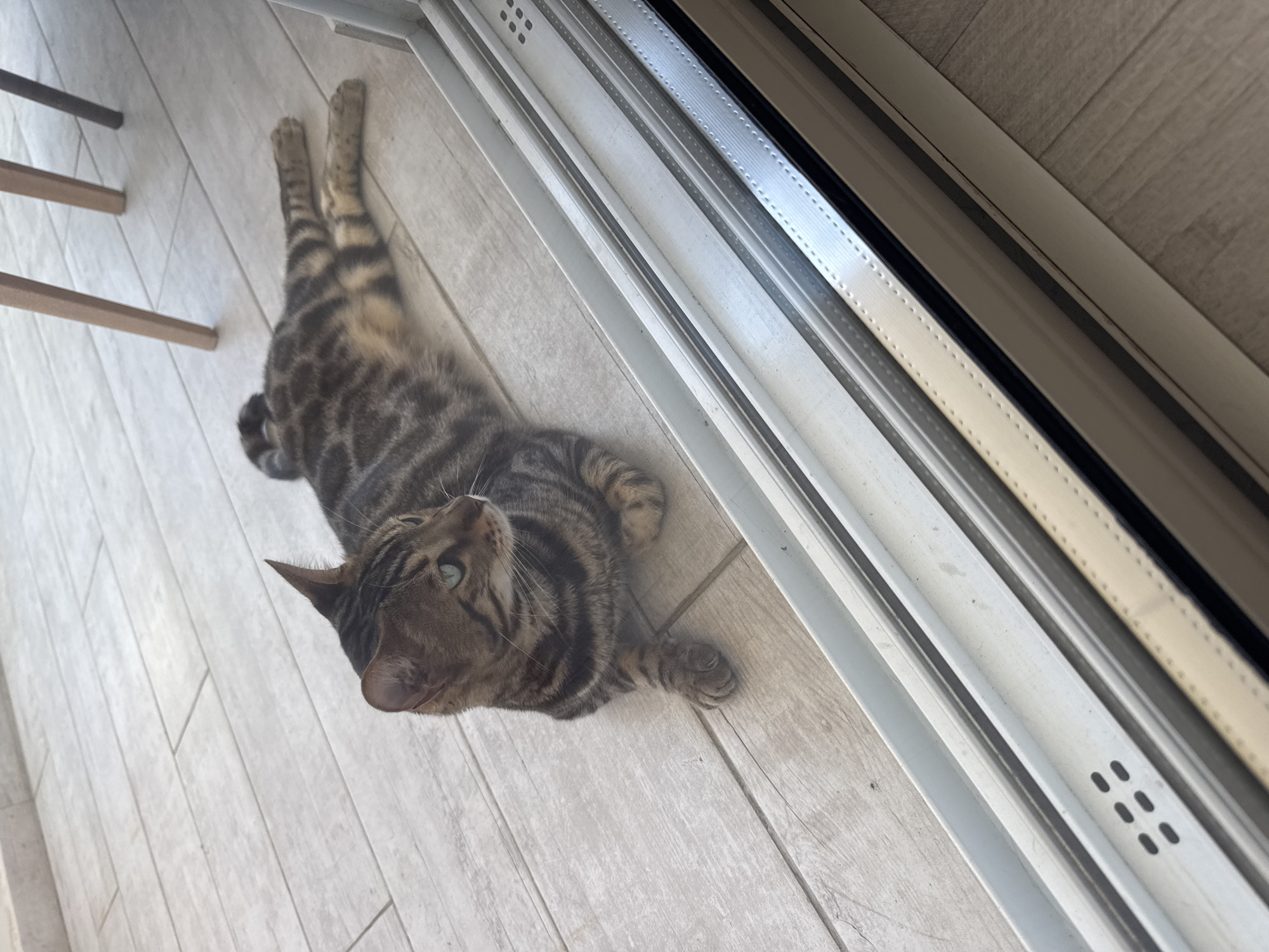 A tabby cat with green eyes is lying on a light-colored tiled floor. The cat is facing to the left, with its body stretched out and its hind legs extended. The cat has a striped coat with brown and black markings. The floor tiles are arranged in a linear pattern and appear to be made of wood-effect ceramic. In the foreground, a white sliding door frame is visible, with the bottom track showing some dust and debris. In the background, two wooden chair legs are partially visible, suggesting the presence of furniture. The scene is indoors, possibly in a residential setting in Agios Tychona Community, Cyprus.