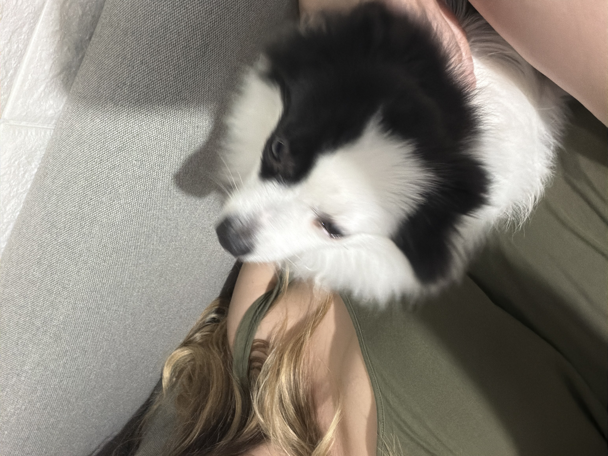 A person's head and upper body are visible, with blond hair and a green tank top. A black and white dog is being held close to the person's chest, with its head tilted upwards. The background appears to be a textured gray surface, possibly a couch, with a white brick-like wall visible at the top right. The lighting is soft, and the image is taken from a slightly high angle. The scene suggests a moment of affection and relaxation between the person and the dog.