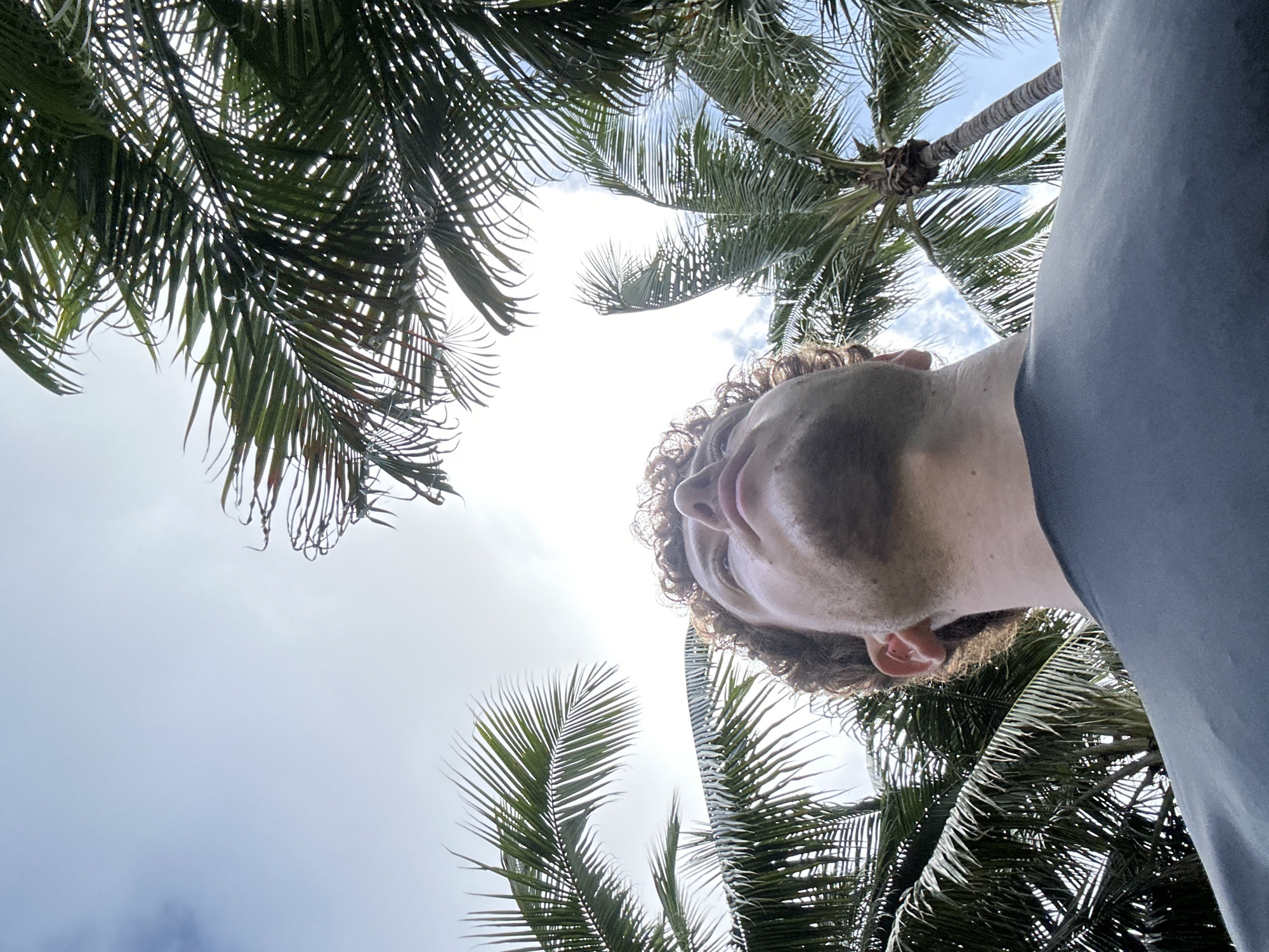 A low-angle shot shows a person looking up into palm trees against a bright sky. The person has curly hair and is wearing a dark-colored shirt. Palm branches frame the top and sides of the view, partially obscuring the sky. The image was taken in Aventura, United States of America.
