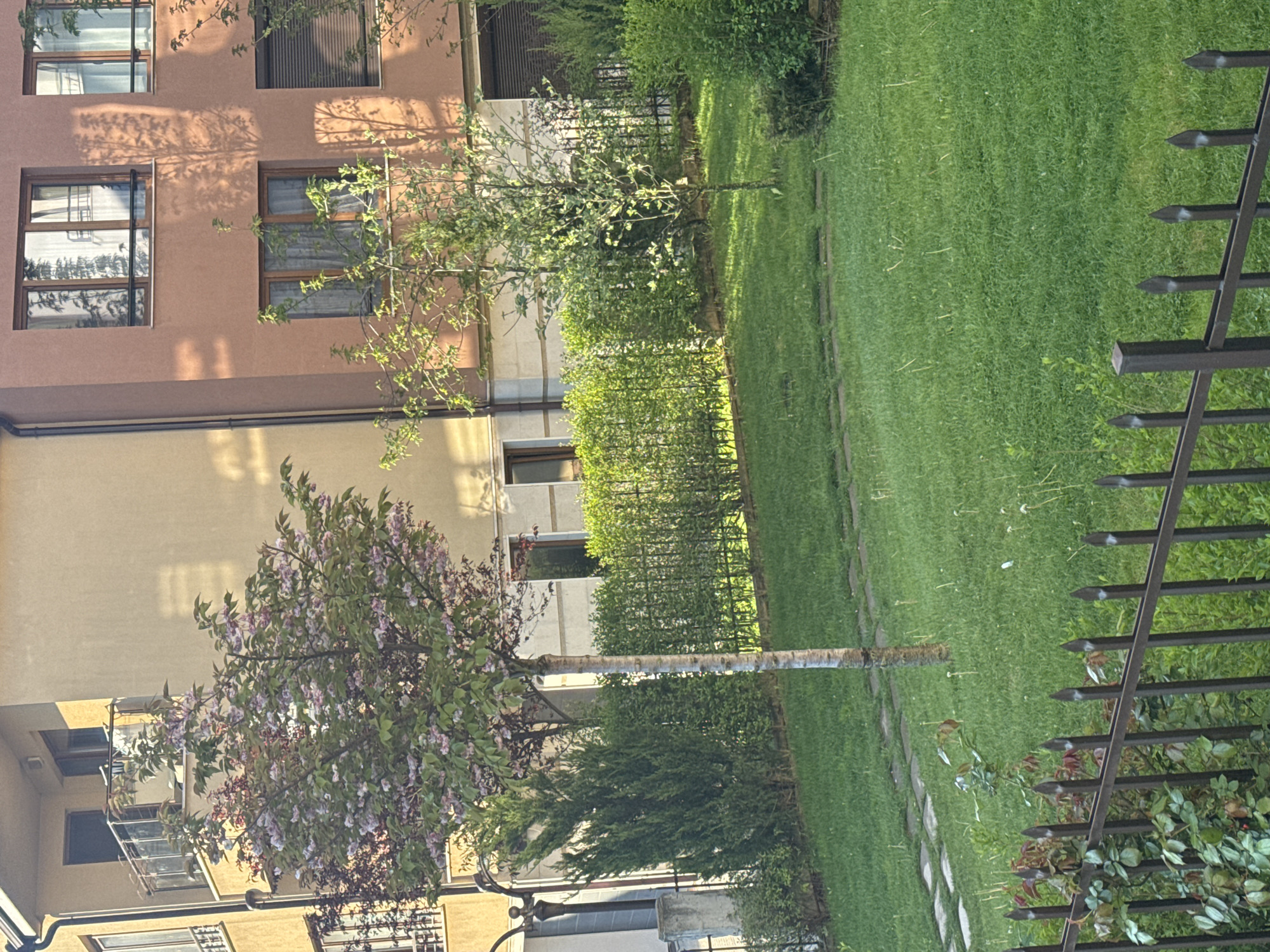 The image depicts a residential scene in Sofia, Bulgaria, with a focus on the exterior of buildings and a well-maintained garden. Two buildings, one with a peach-colored facade and the other a pale yellow, are visible. The peach building has several windows, some with blinds drawn. The yellow building also shows windows and what appears to be air conditioning units. A lush green lawn occupies the center of the image, bordered by a low, manicured hedge and a stone pathway. Two trees are prominent: one with delicate purple blossoms and another with light green foliage. In the foreground, a wrought-iron fence runs diagonally across the view, partially obscuring the scene. The overall impression is one of a quiet, well-kept residential area within the city.