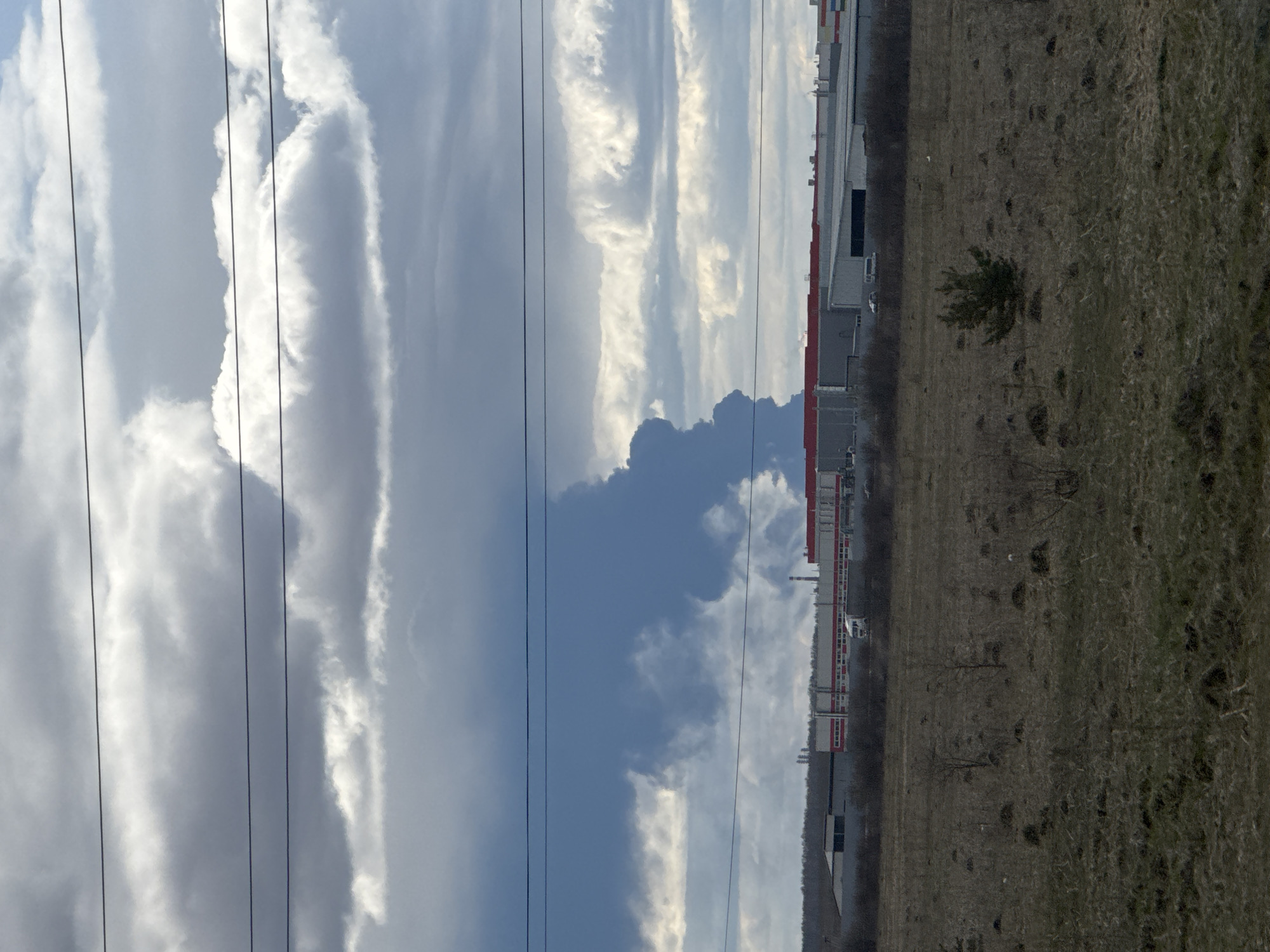 The image depicts an expansive industrial-rural landscape under a dramatic, cloudy sky, likely in Zamulyanka, Russia. The sky dominates the upper two-thirds of the frame, showcasing a mix of bright white, elongated cloud formations against a backdrop of lighter blue and darker grey clouds. A significant, darker cloud mass is visible towards the left side of the sky, suggesting changeable weather. Several dark power lines or utility wires stretch horizontally across the upper part of the sky.
On the horizon, a series of industrial buildings or warehouses with light-colored walls, red trim, and flat roofs are visible, extending across the mid-ground. Some structures resembling chimneys or vents can be seen on the rooftops. These buildings appear to be part of a larger industrial complex, with a faint line of distant trees or natural barriers behind them.
The foreground consists of a wide, open field covered in dry, sparse, brown and grey vegetation, indicative of a dormant season like late autumn, winter, or early spring. The ground is uneven, with various textures and darker patches. A single, small, dark green evergreen bush or young tree stands prominently in the field towards the right. No people or specific activities are observable in the scene. The lighting suggests daytime, possibly under partly cloudy conditions. No discernible text is present in the image.