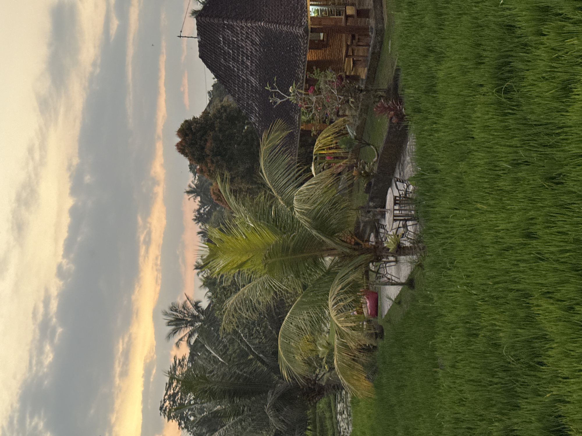The image depicts a sunset scene in Tegallalang, Indonesia, with lush green rice paddies in the foreground. A rustic wooden building with a tiled roof, likely a restaurant or guesthouse, is visible on the right side of the frame. The building is surrounded by tropical vegetation, including palm trees and flowering plants. Several tables and chairs are set up on a paved patio area in front of the building, suggesting an outdoor dining or relaxation space. The sky is painted with soft hues of orange and yellow as the sun sets, with clouds scattered across the horizon. The overall atmosphere is serene and tranquil, characteristic of a tropical rural landscape.