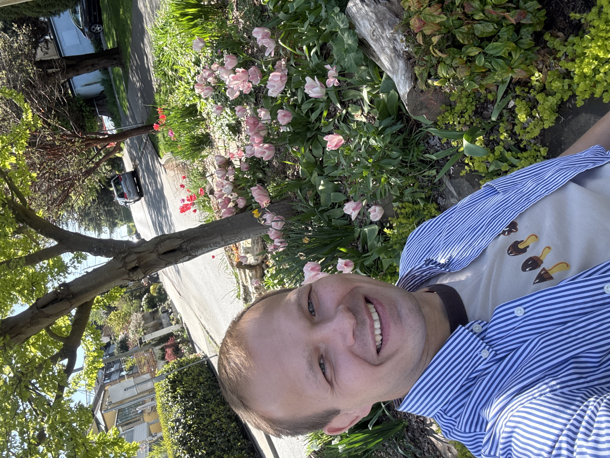 The image is a selfie of a smiling man taken outdoors in a residential setting. The man, with short light brown hair and blue eyes, is looking directly at the camera with a wide, joyful grin, showing his teeth. He is wearing a blue and white striped long-sleeved button-down shirt, partially unbuttoned, over a light-colored t-shirt adorned with a pattern of small brown and yellow cartoonish shapes, possibly depicting tools.
The background reveals a sunny day, likely late morning or early afternoon, with bright, clear lighting. To the man's right, a vibrant garden bed is filled with numerous pink tulips in various stages of bloom, along with lush green foliage. A weathered wooden log or tree stump is also visible in this garden area. Beyond the garden, a paved street or driveway stretches across the frame.
On the other side of the street, several trees with both bare and leafed branches are present, suggesting a spring season. A grey sedan is parked on the street, and another dark-colored car is partially visible further down. Houses or buildings of various designs are visible in the background, set amidst green hedges and trees. The overall scene depicts a pleasant, sunny day in a well-maintained residential neighborhood, consistent with a street in Vancouver, Canada. No visible text is present in the image.